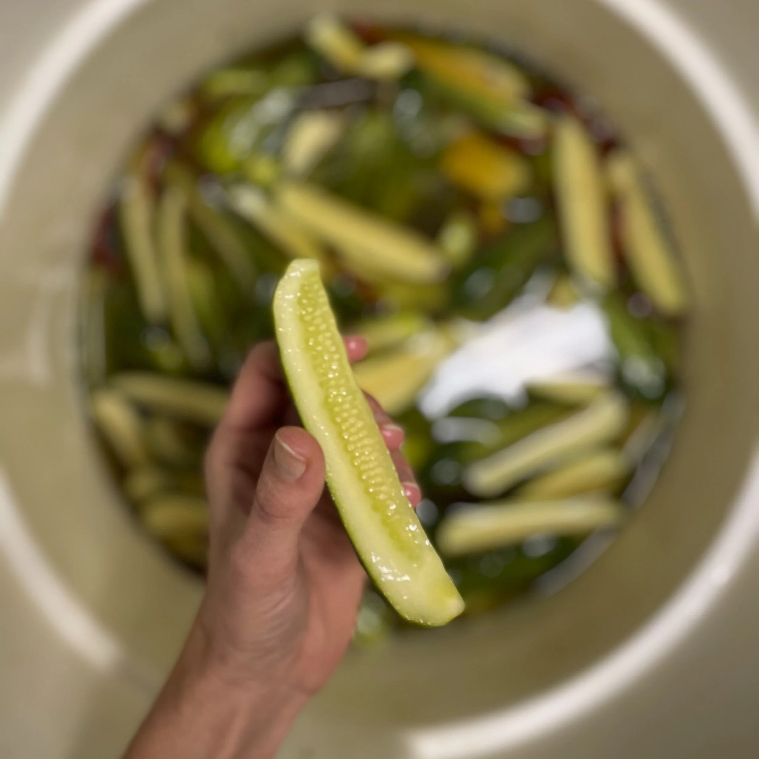 Deli Pickles Forever