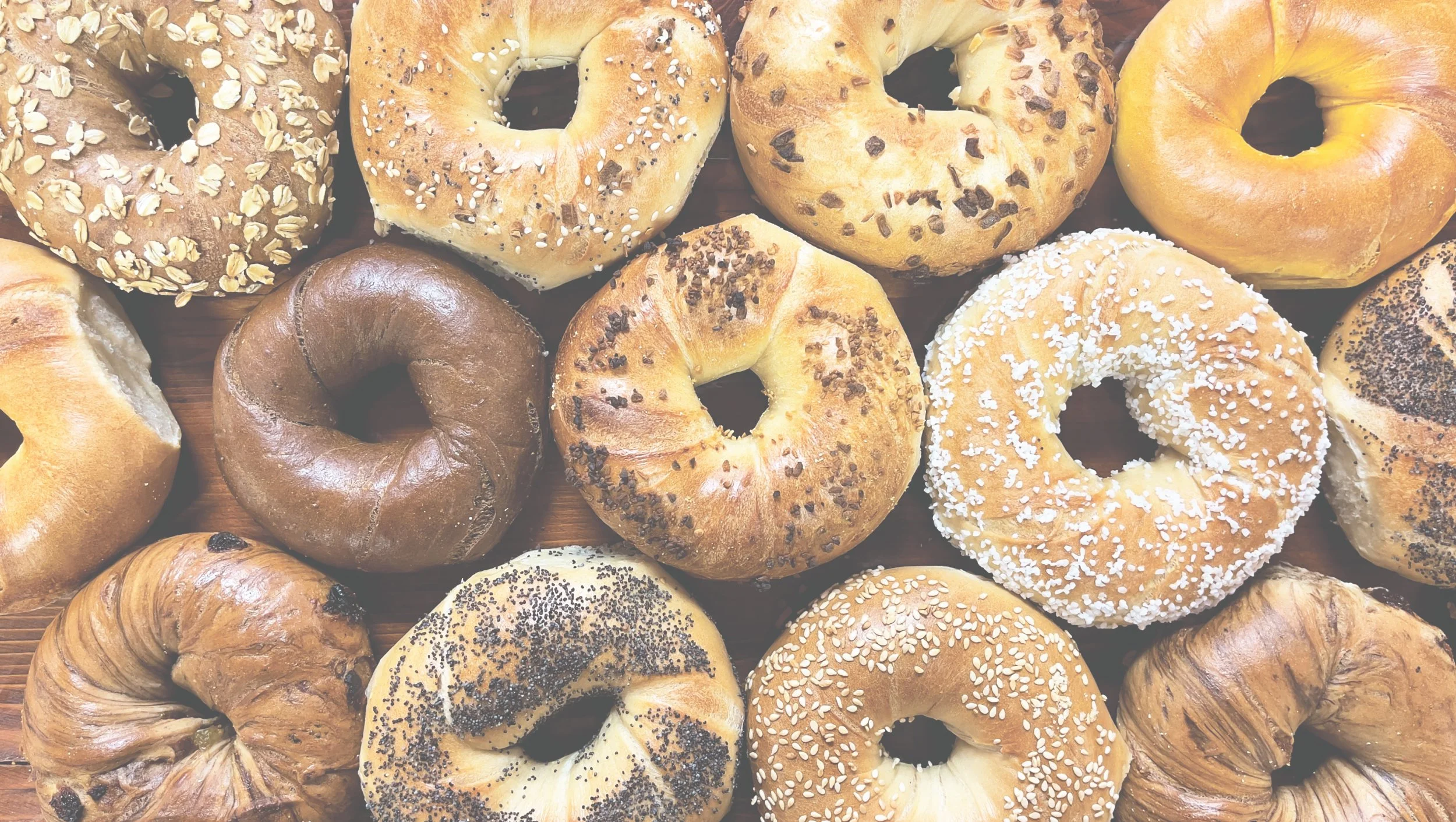 Hero banner featuring a spread of fresh New York-style bagels at Gotham Bagels Chicago.jpg