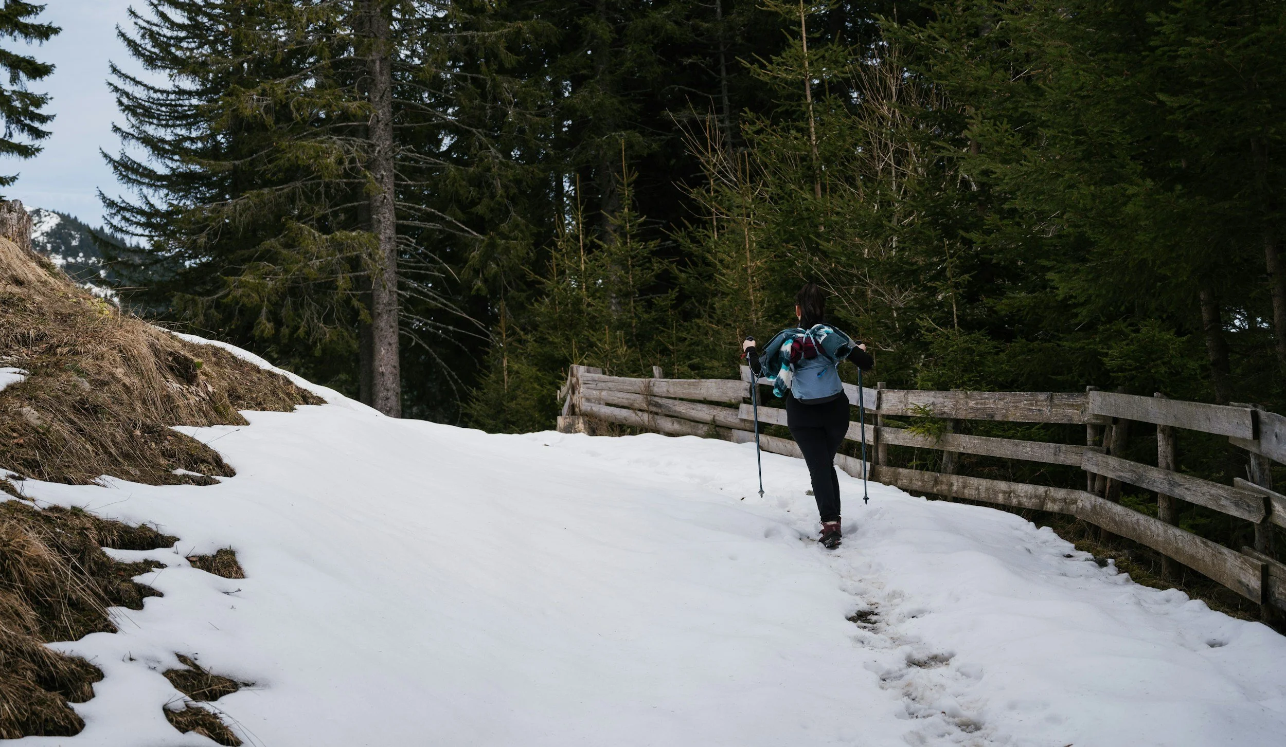 Person hiking through snow on a forest trail during early spring, representing seasonal renewal and movement