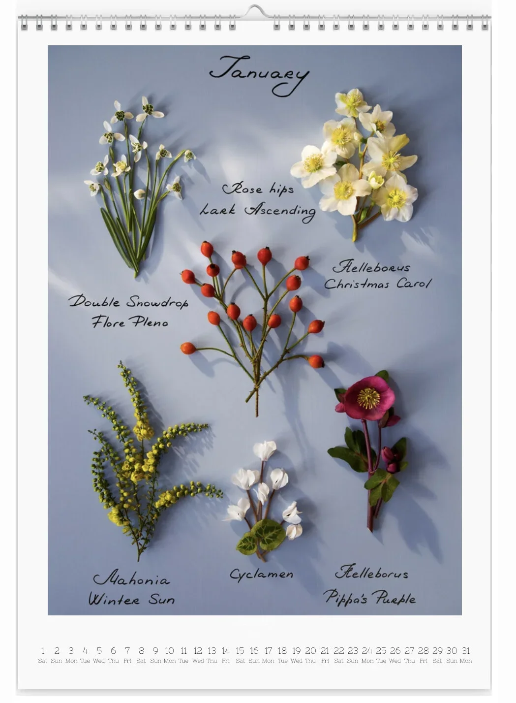 Web+Jan (1).webp