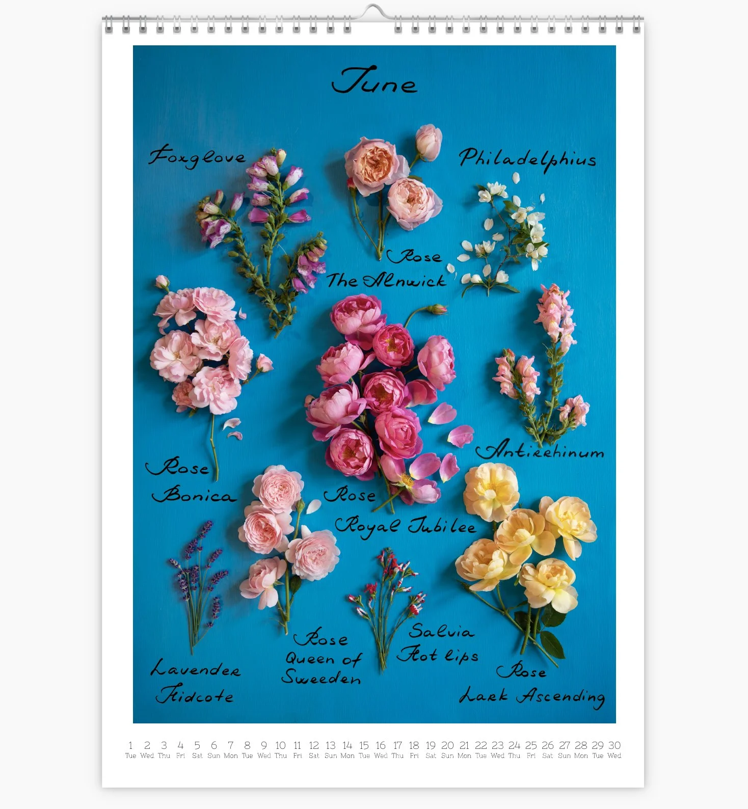 JUNE 2026 Calendar page.jpg