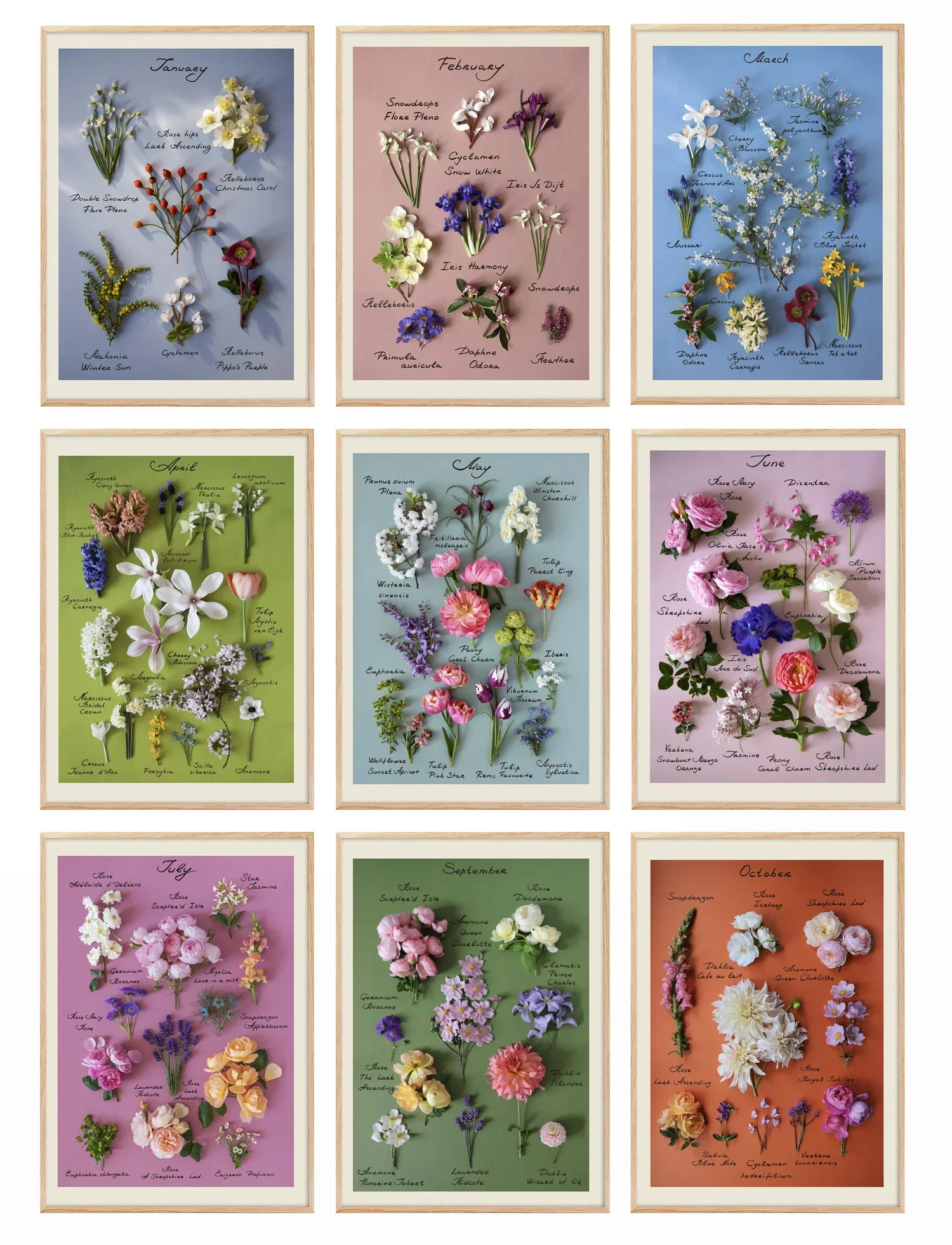 9+prints+Framed+fixed.webp