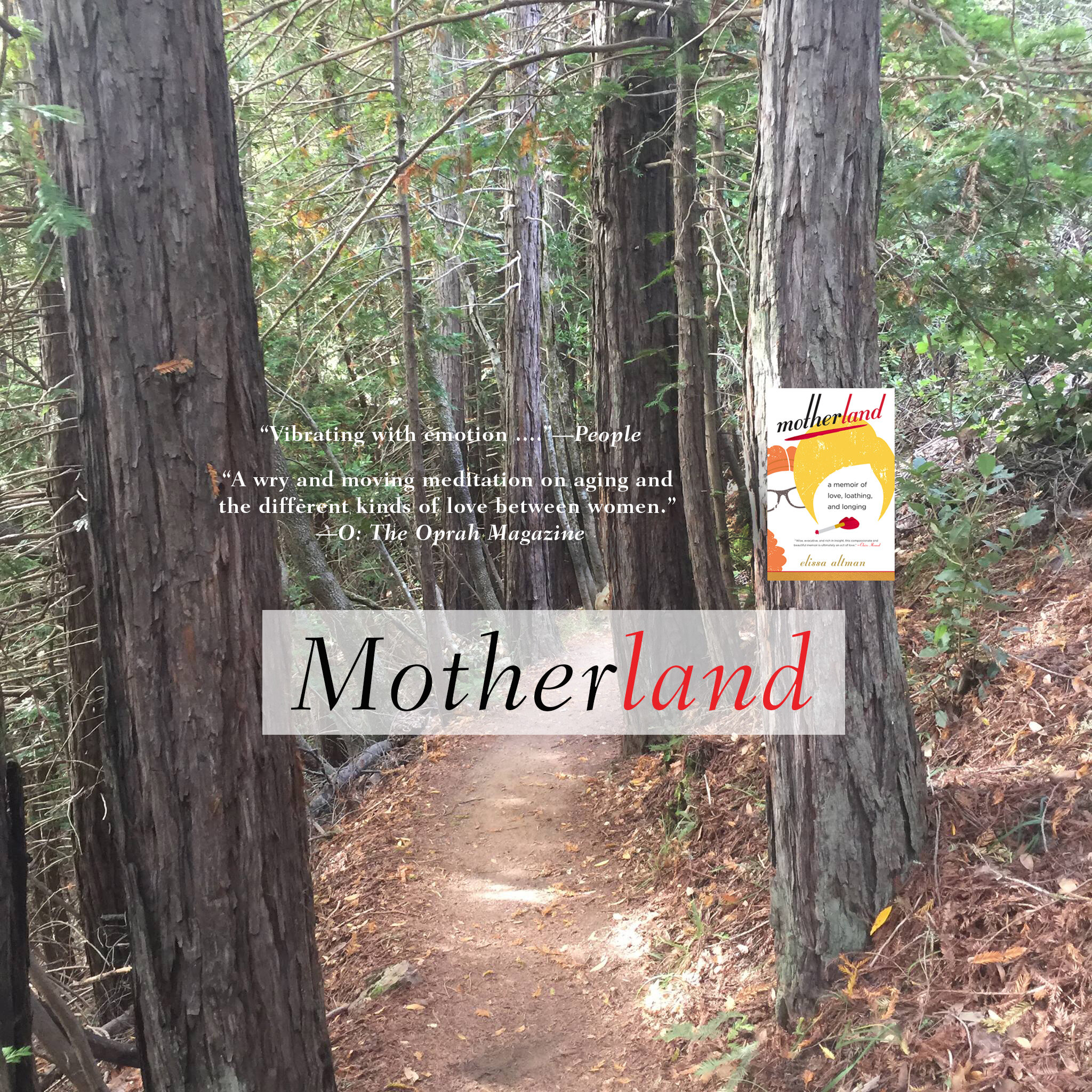 New Motherland Home_r5.jpg