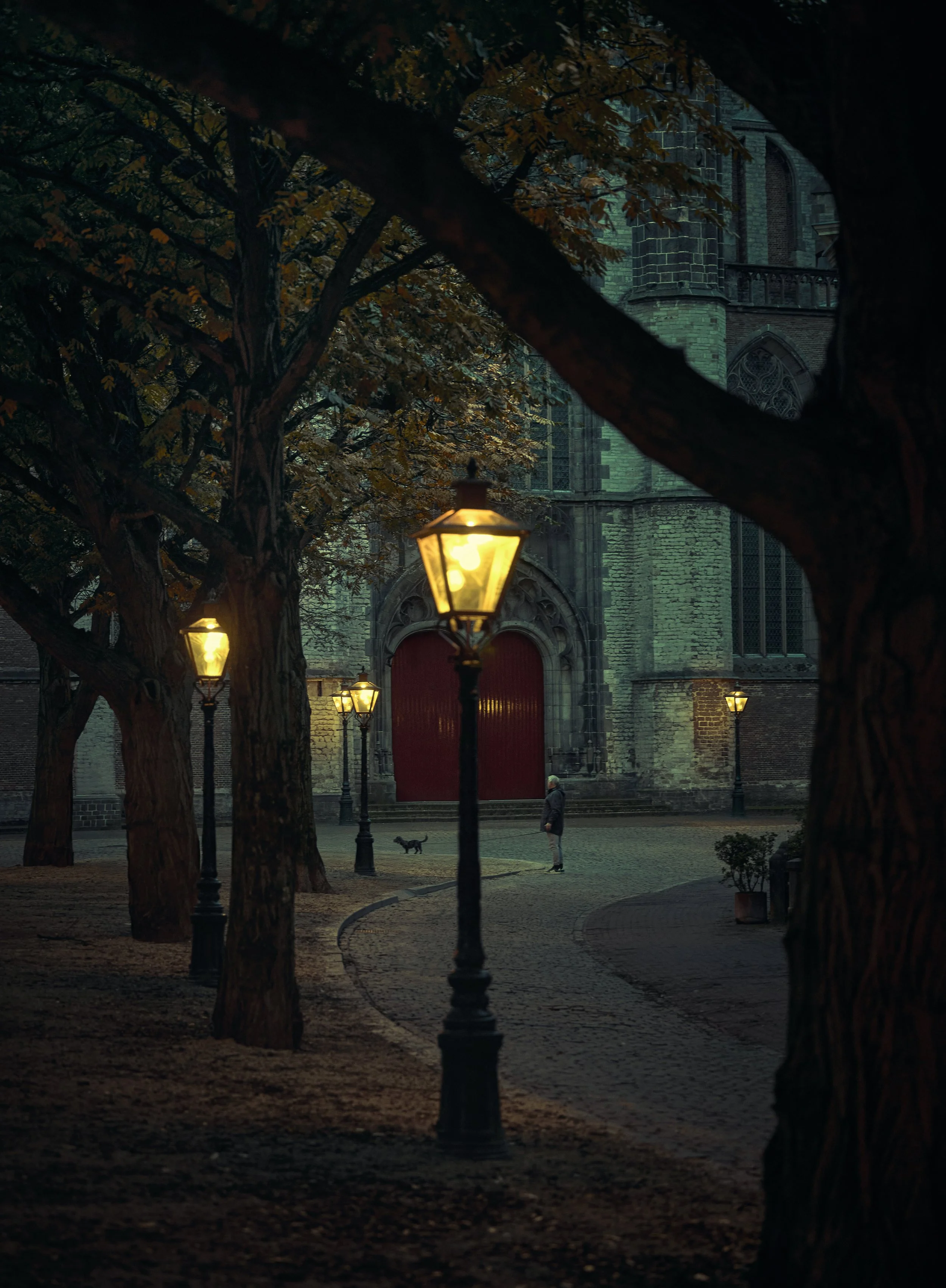 _X9A7606-kopie.jpg