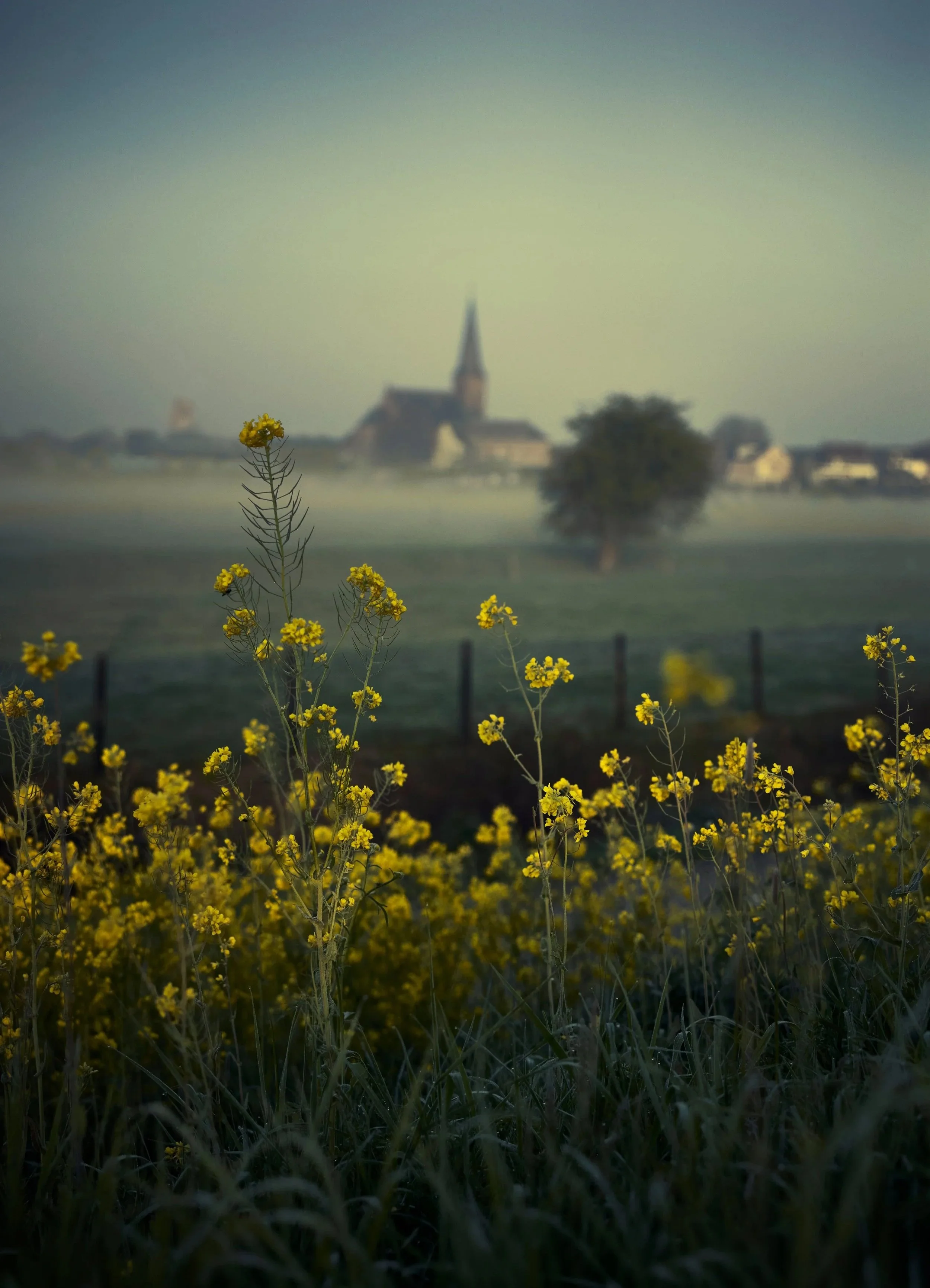 _X9A8663-kopie-2.jpg