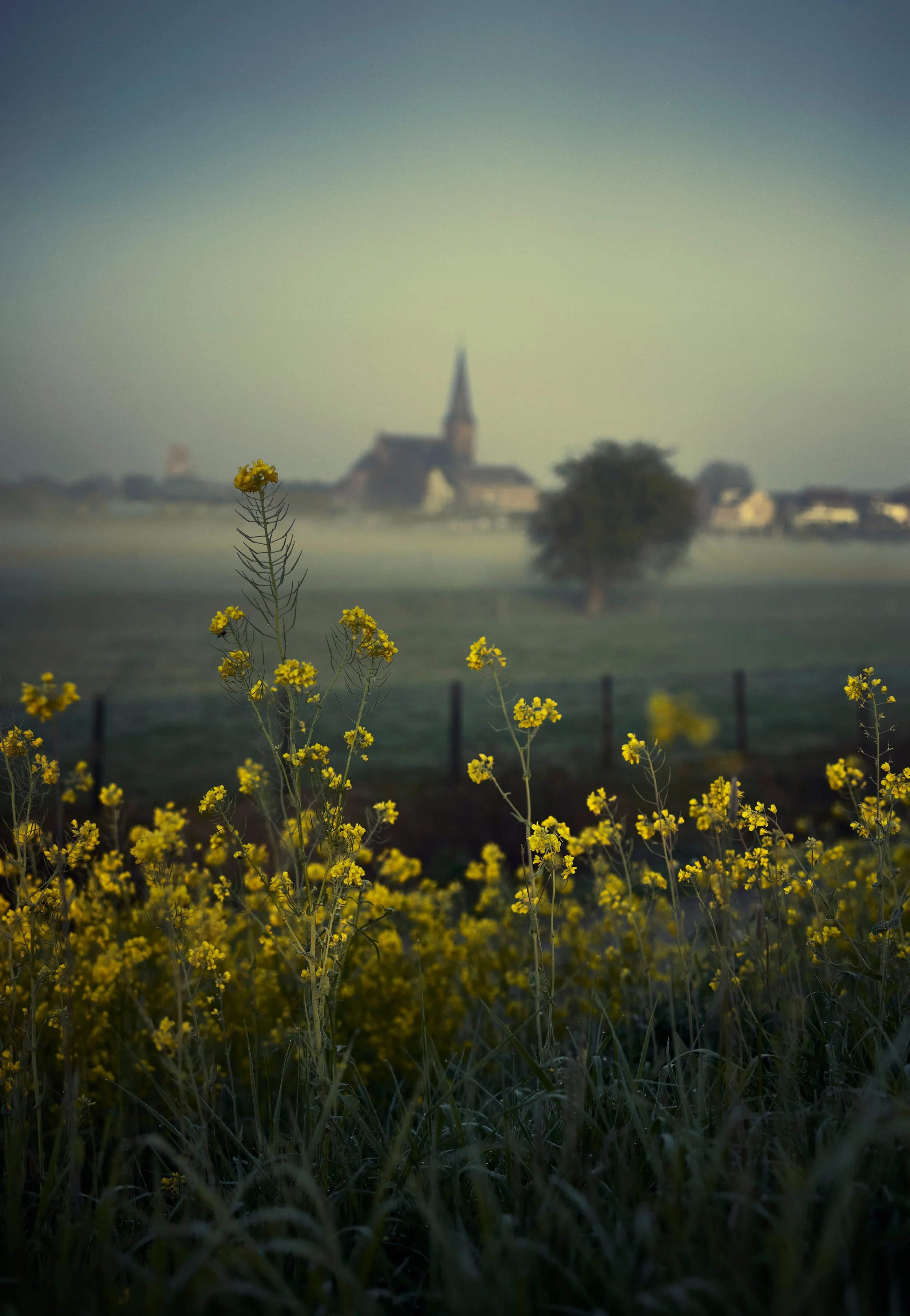 _X9A8663-kopie.jpg