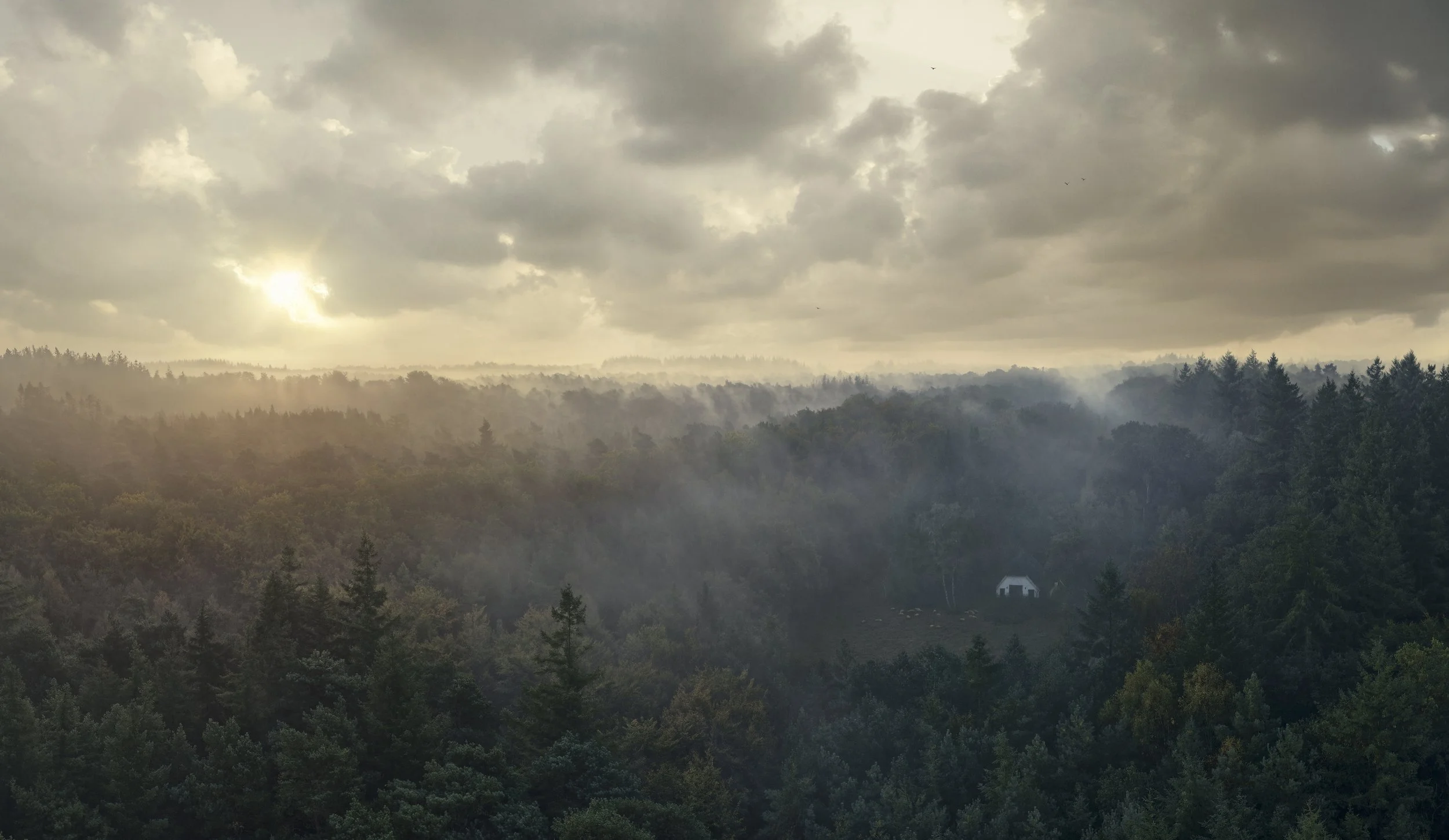 DJI_20251010141108_0089_D kopie.jpg