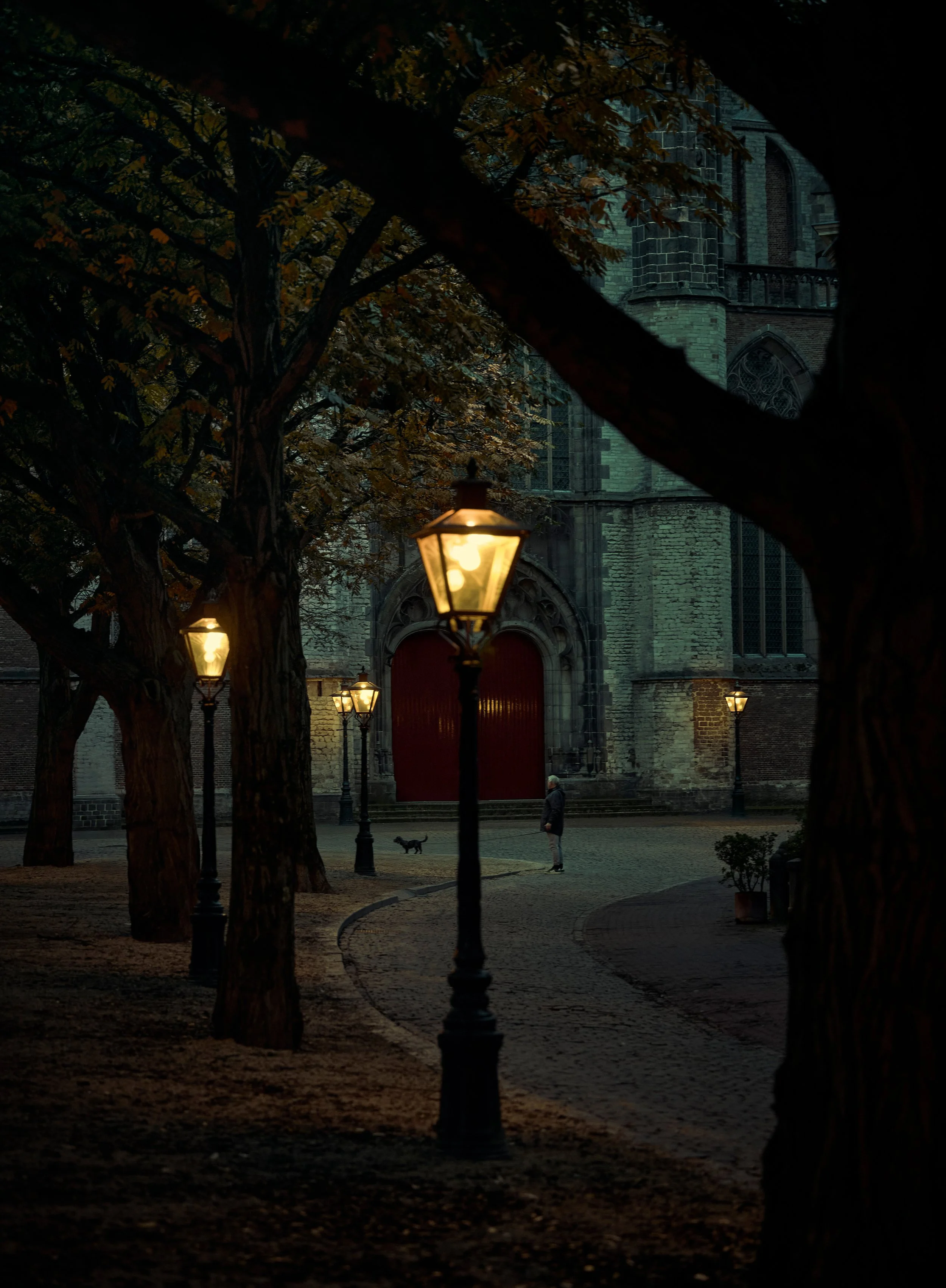 _X9A7606-kopie.jpg