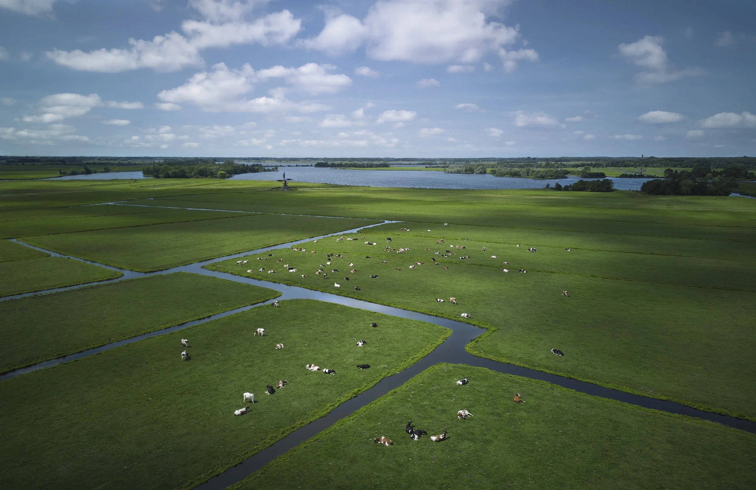 Kaasmakerij_drone shot_polder kopie 2.jpg