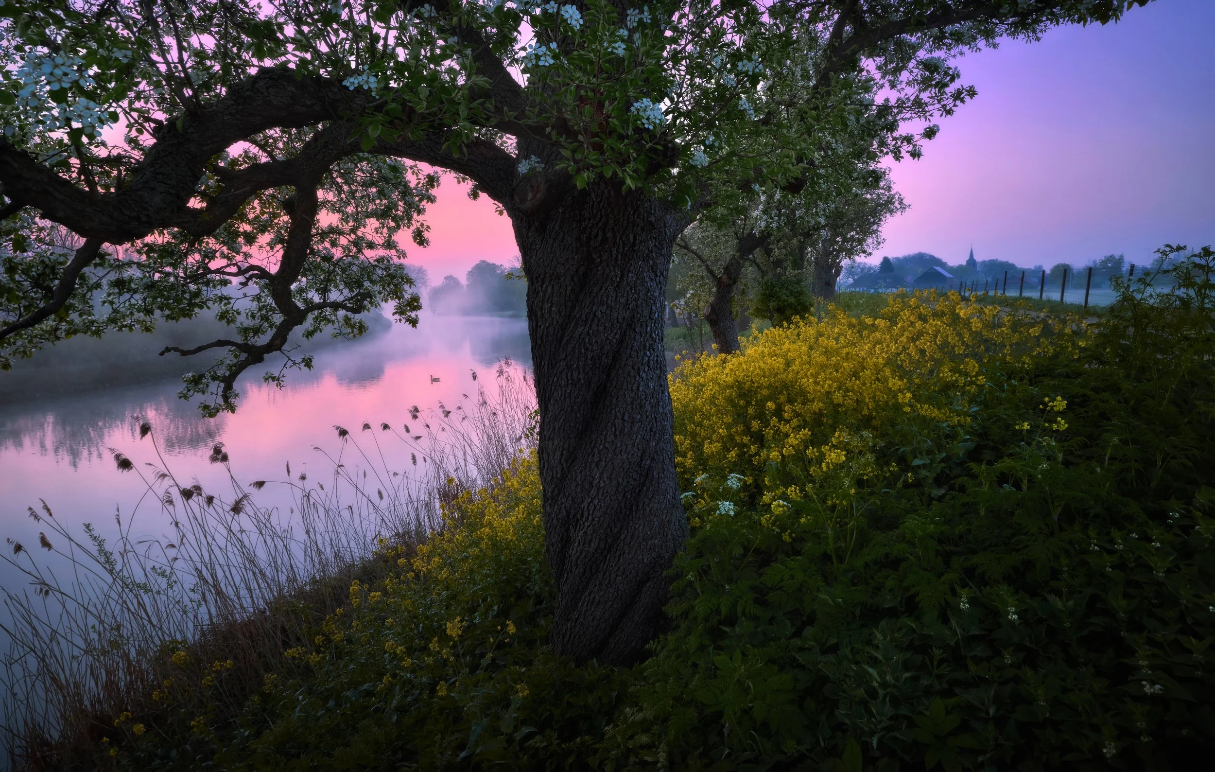 _X9A8445-kopie.jpg