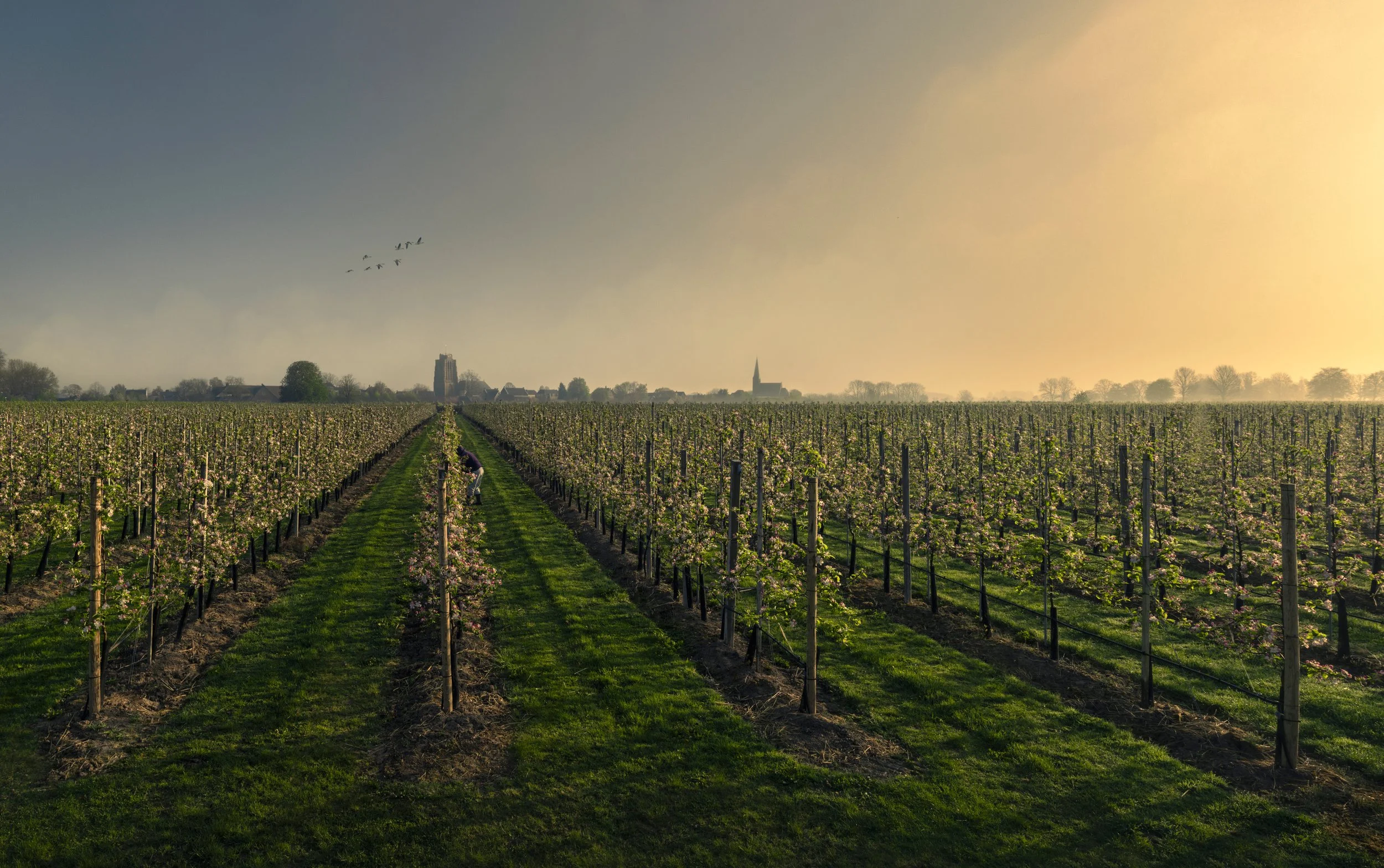 _X9A8766-Pano-2-kopie.jpg