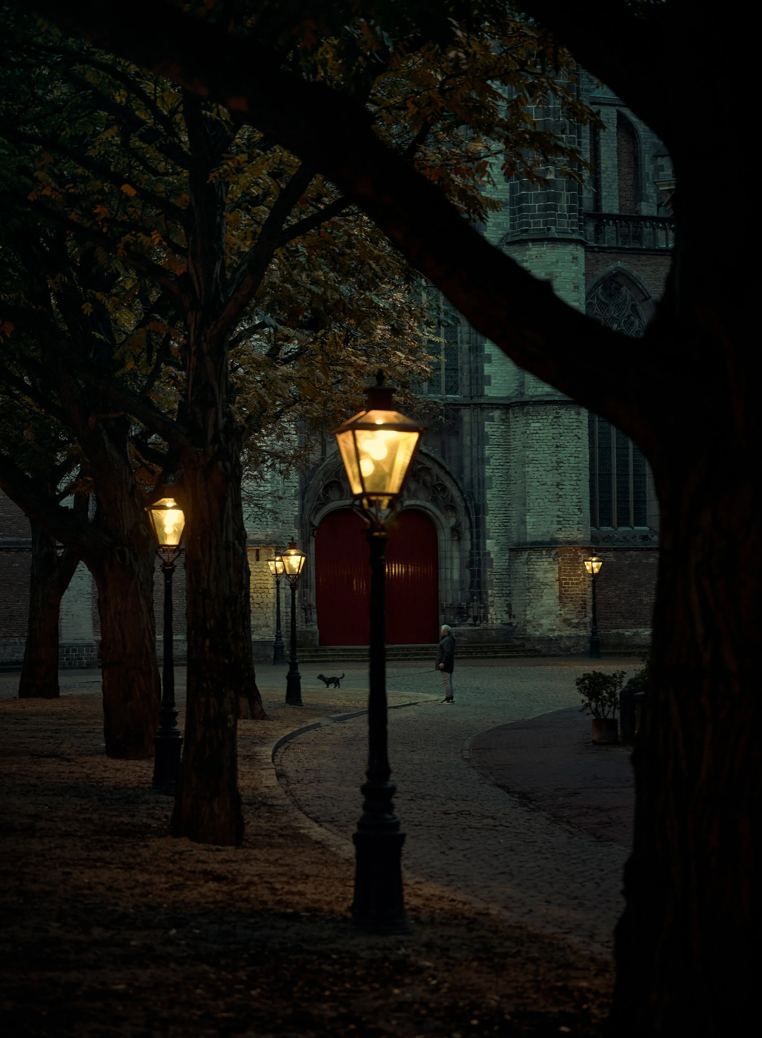 _X9A7606-kopie.jpg
