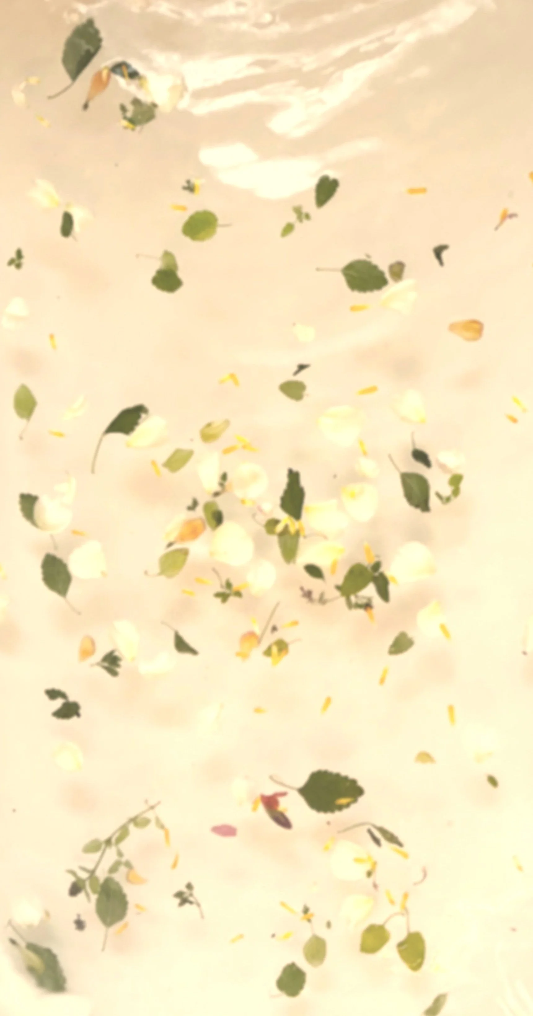 MADRONA HOUSE herbal spa