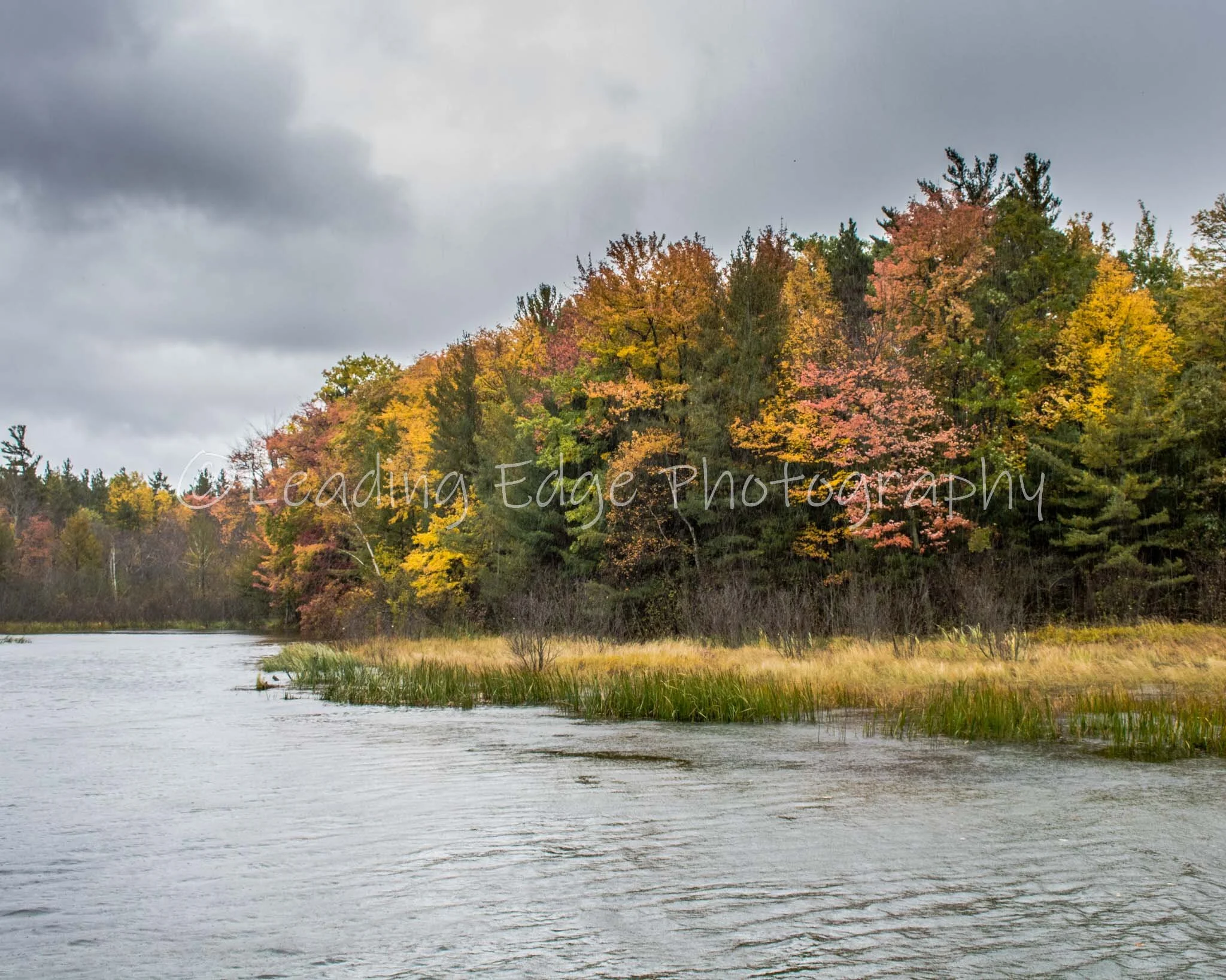 Colorful Stream 8x10.jpg