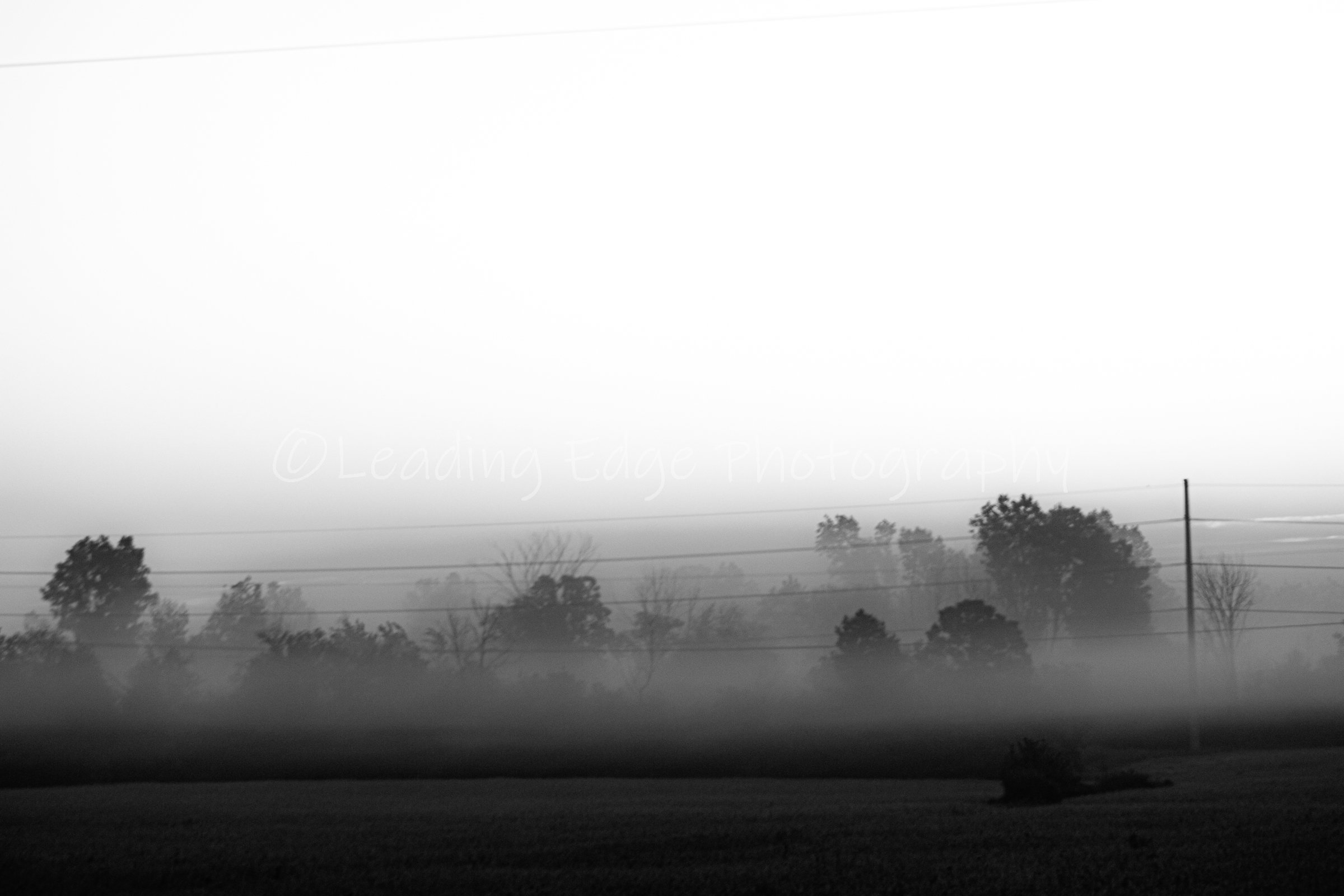 Morning Breath Black And White.jpg