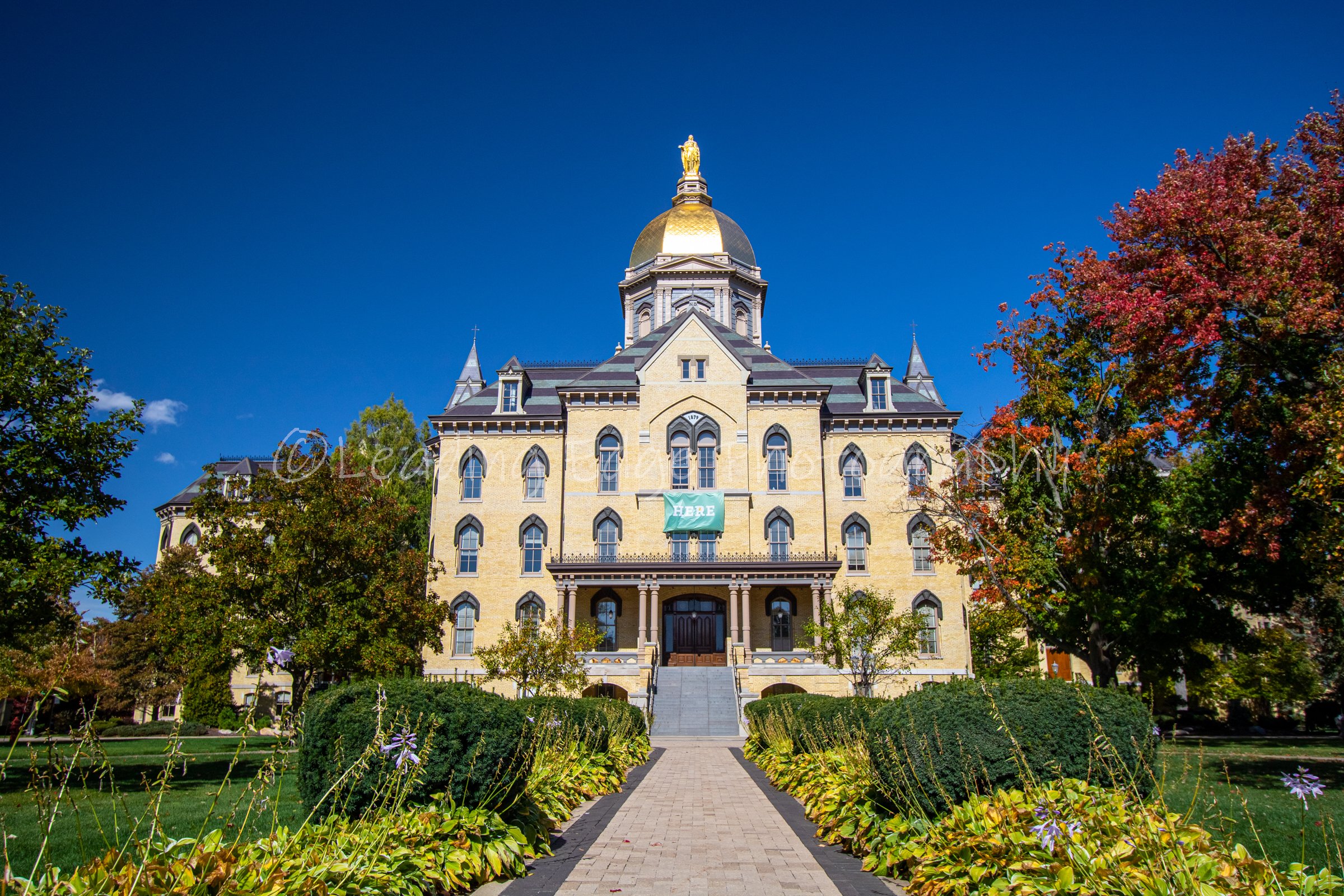 Close Golden Dome.jpg