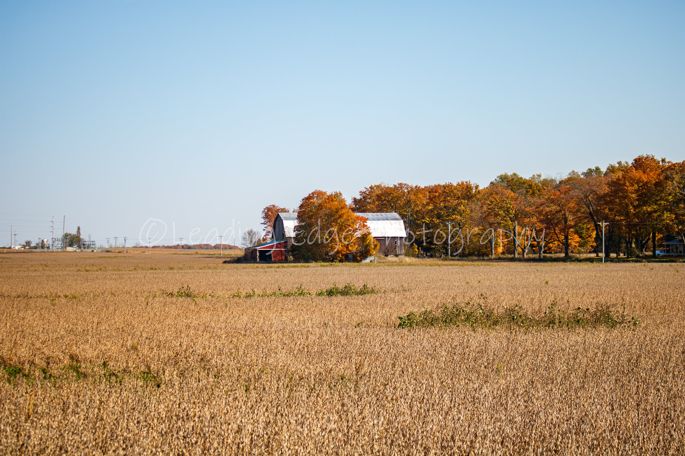 Fall Shed.jpg