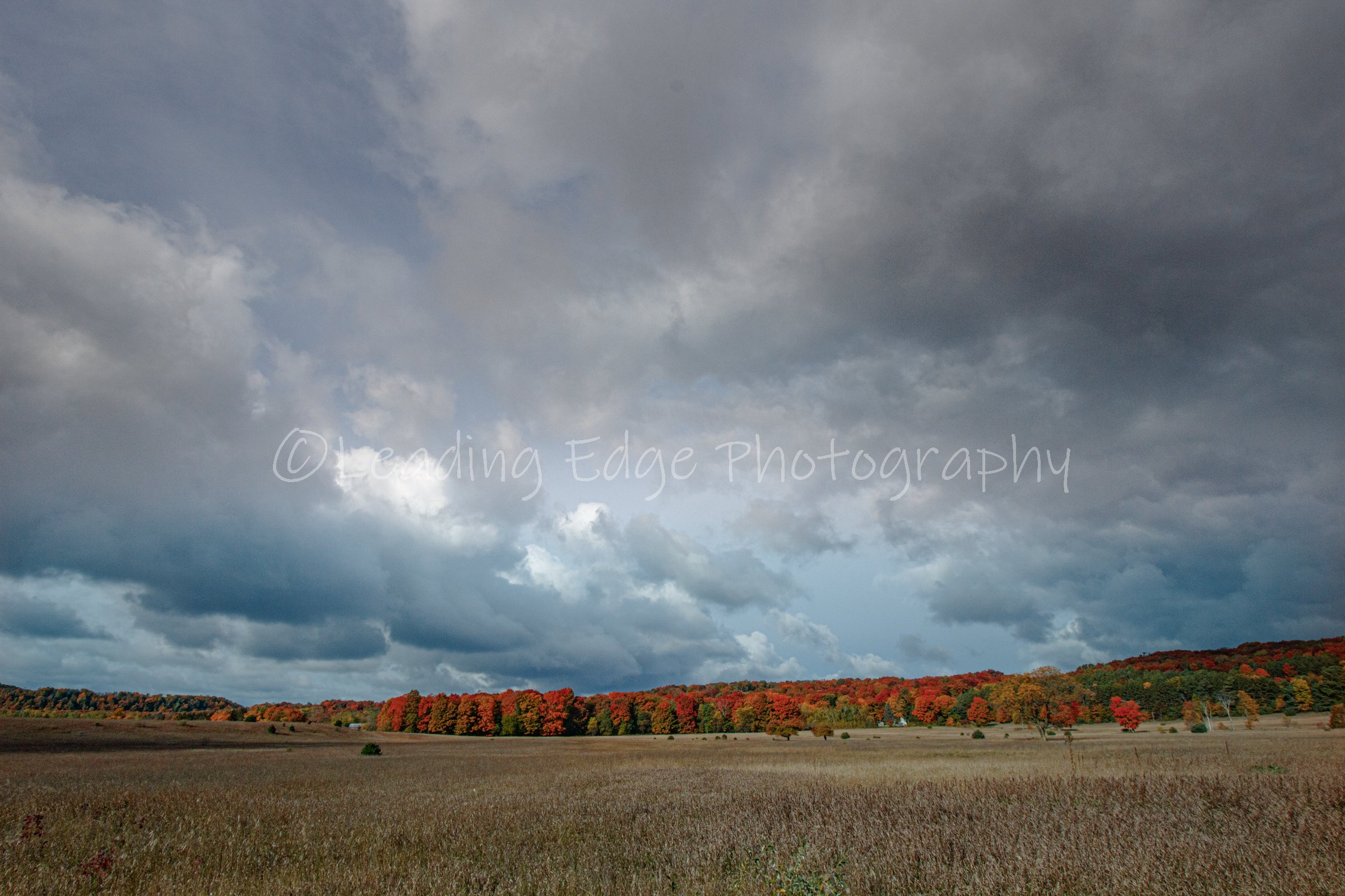 Field Of Fall Dreams.jpg