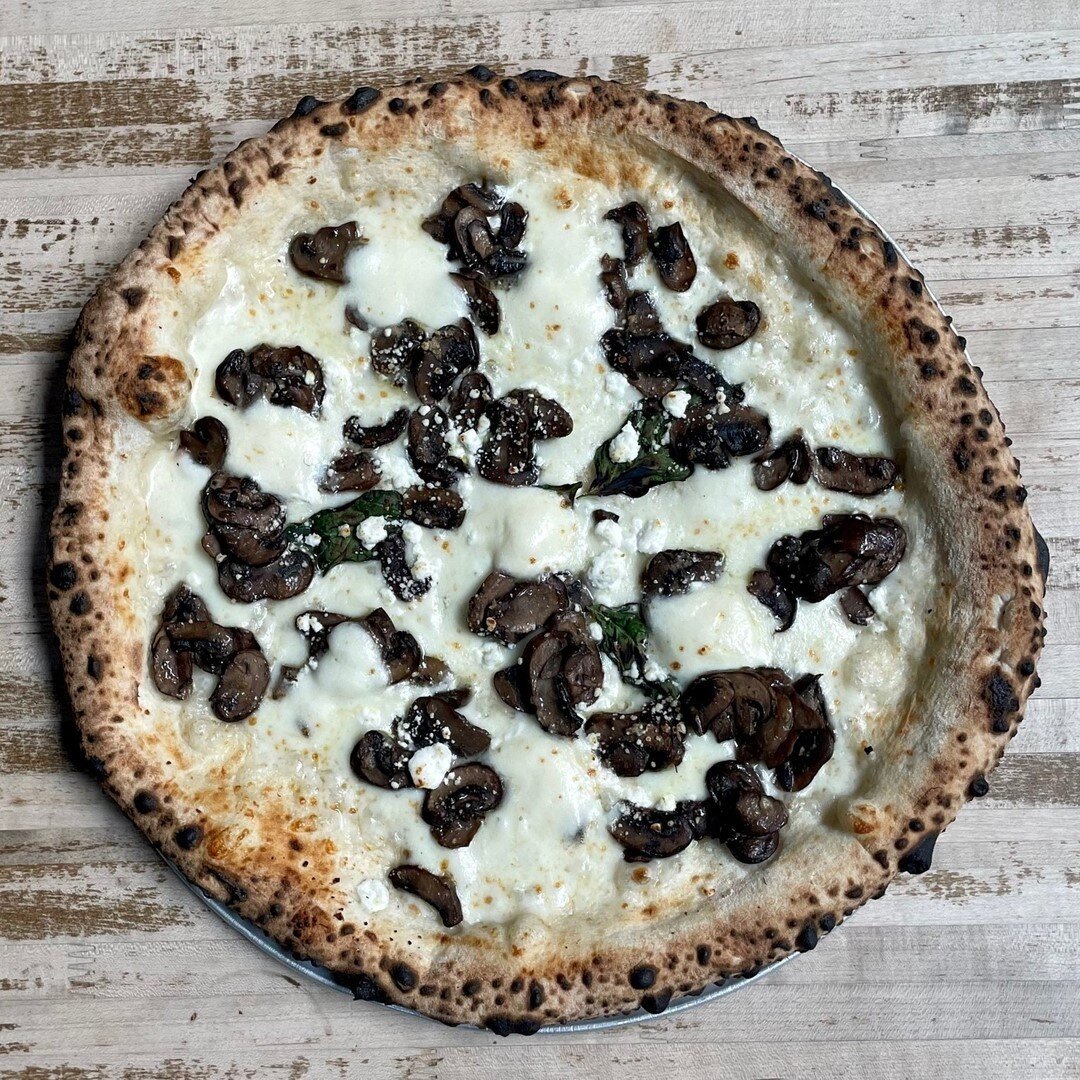 Every day we trufflin'! 🍄THE TERRA PIE 🍄wild mushrooms, goat cheese, truffle oil, house mozzarella, fresh basil. Come and get it. ⠀⠀⠀⠀⠀⠀⠀⠀⠀
⠀⠀⠀⠀⠀⠀⠀⠀⠀
⏰Hours⏰⠀⠀⠀⠀⠀⠀⠀⠀⠀
Monday - Thur: 4-10pm ⠀⠀⠀⠀⠀⠀⠀⠀⠀
Friday: 4-11:00pm ⠀⠀⠀⠀⠀⠀⠀⠀⠀
Saturday: 11:30-11pm 