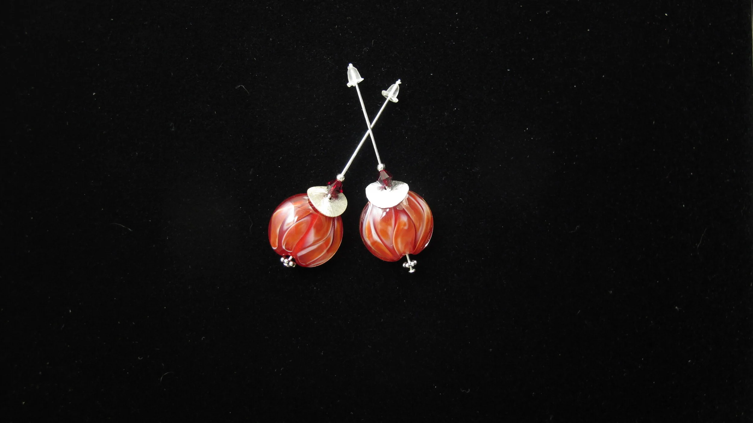 Lentil red petals ear in cube.JPG
