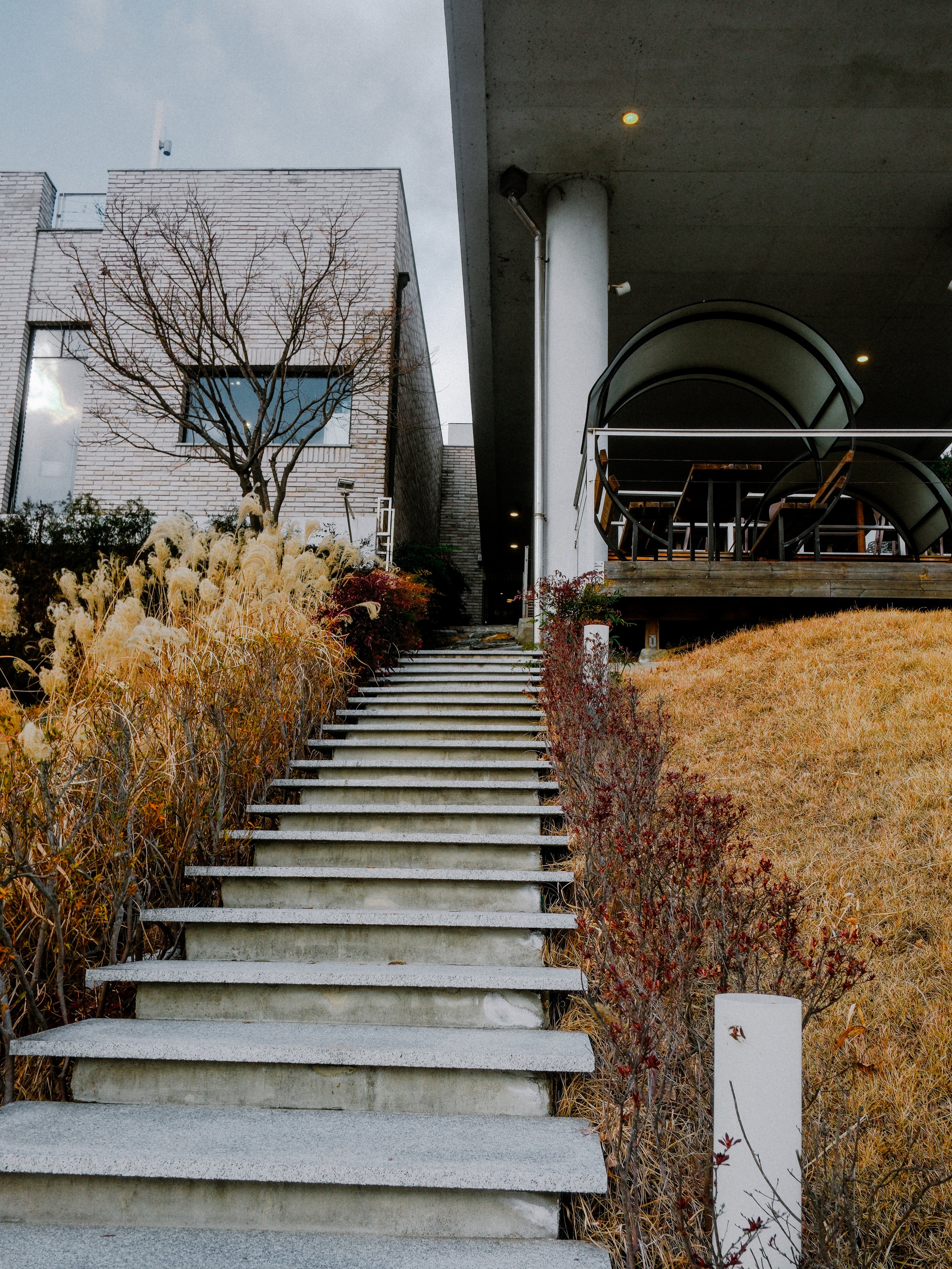 DSCF3975.JPG