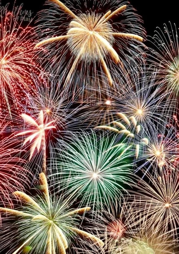 Join us for our June 2026 Meeting - 10th Anniversary Celebration!!!!