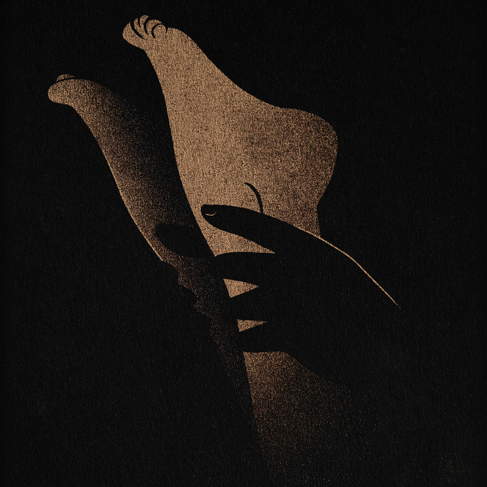 coucouaurelien-carte-postale-erotique-sensuelle-sexuelle-amour-tendresse-risographie-or-all.gif