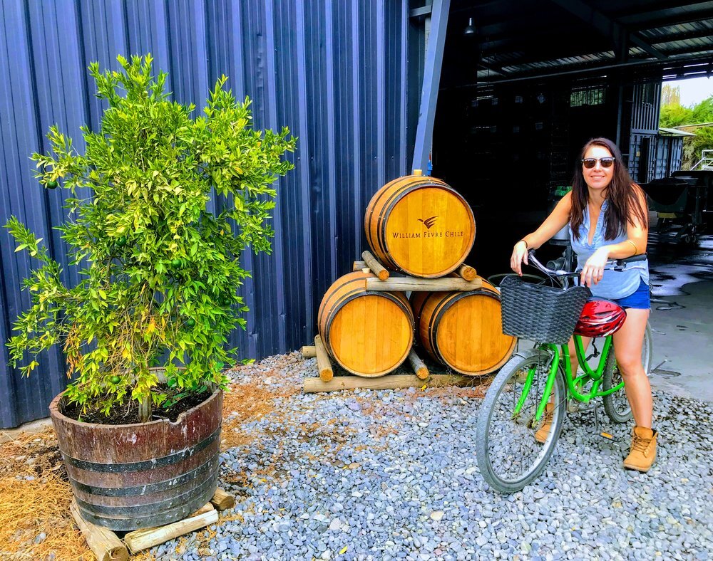 Biking + wining my way around the gorgeous William Fèvre Estate in Maipo Valley, Chile