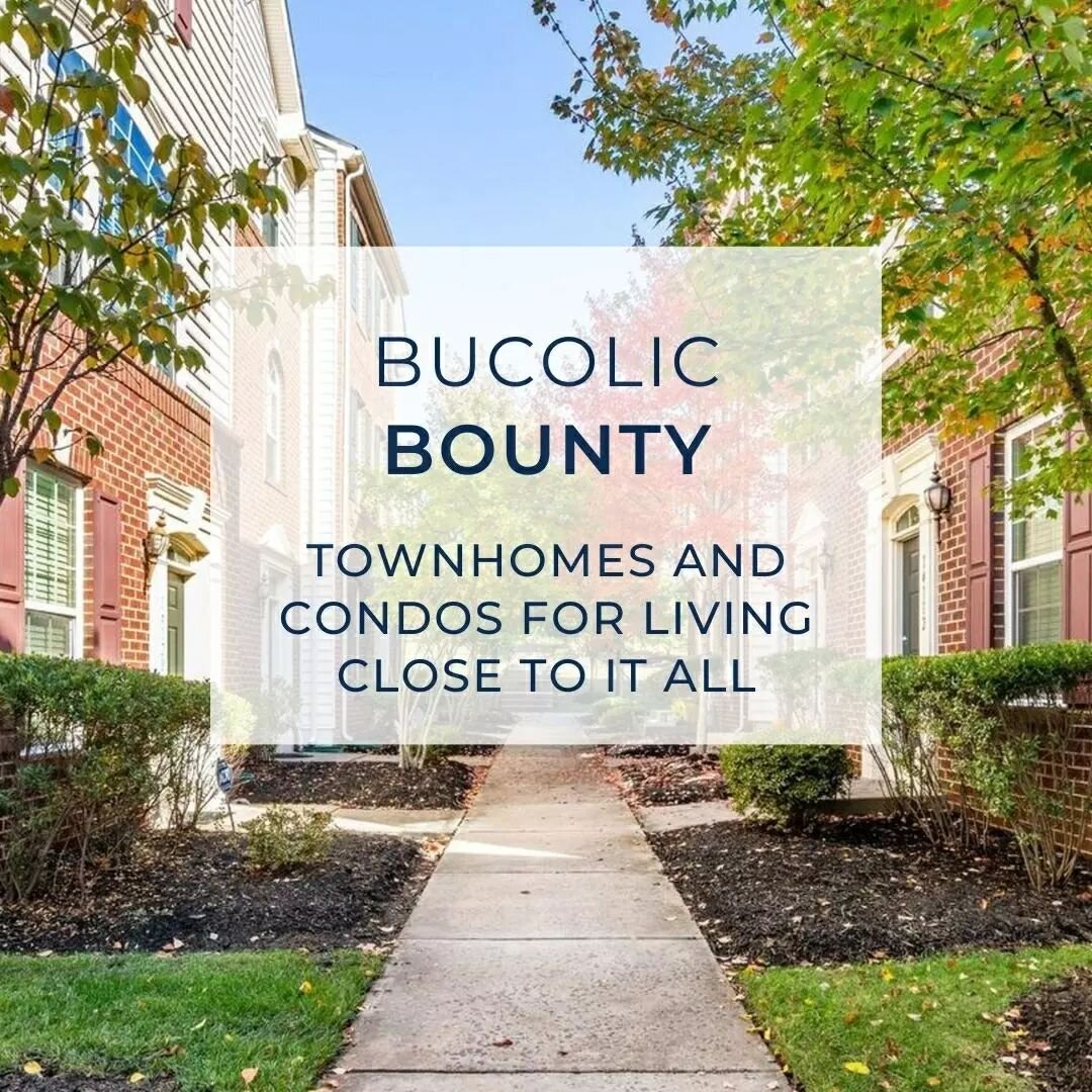 Check out these townhomes and condos in convenient locations with wonderful amenities! Whether you prefer to wake up to pastoral views of the Virginia countryside or close to commuter routes and shopping, there is something for everyone in this week&