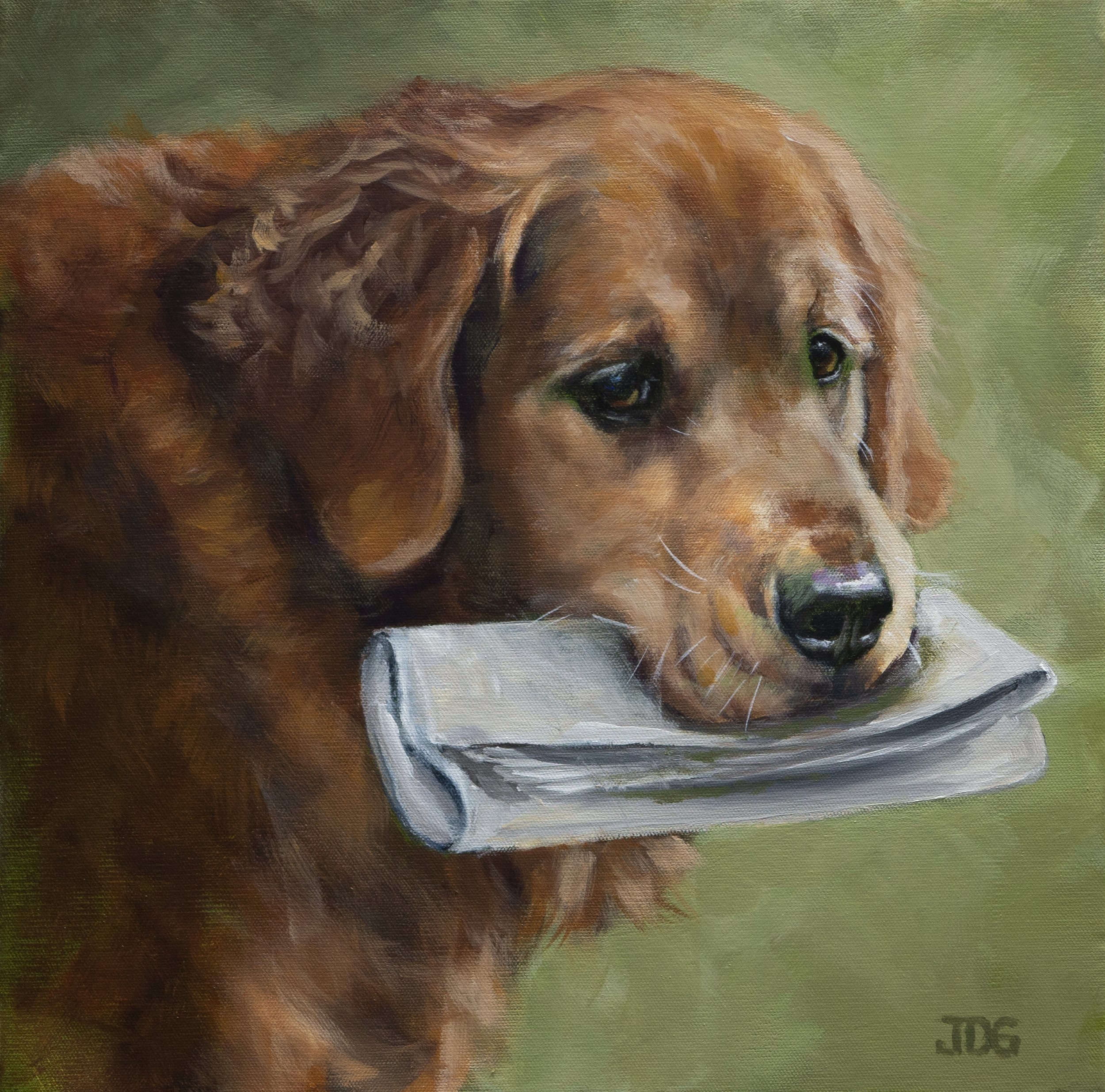 Golden Retriever Barney (In Memoriam)