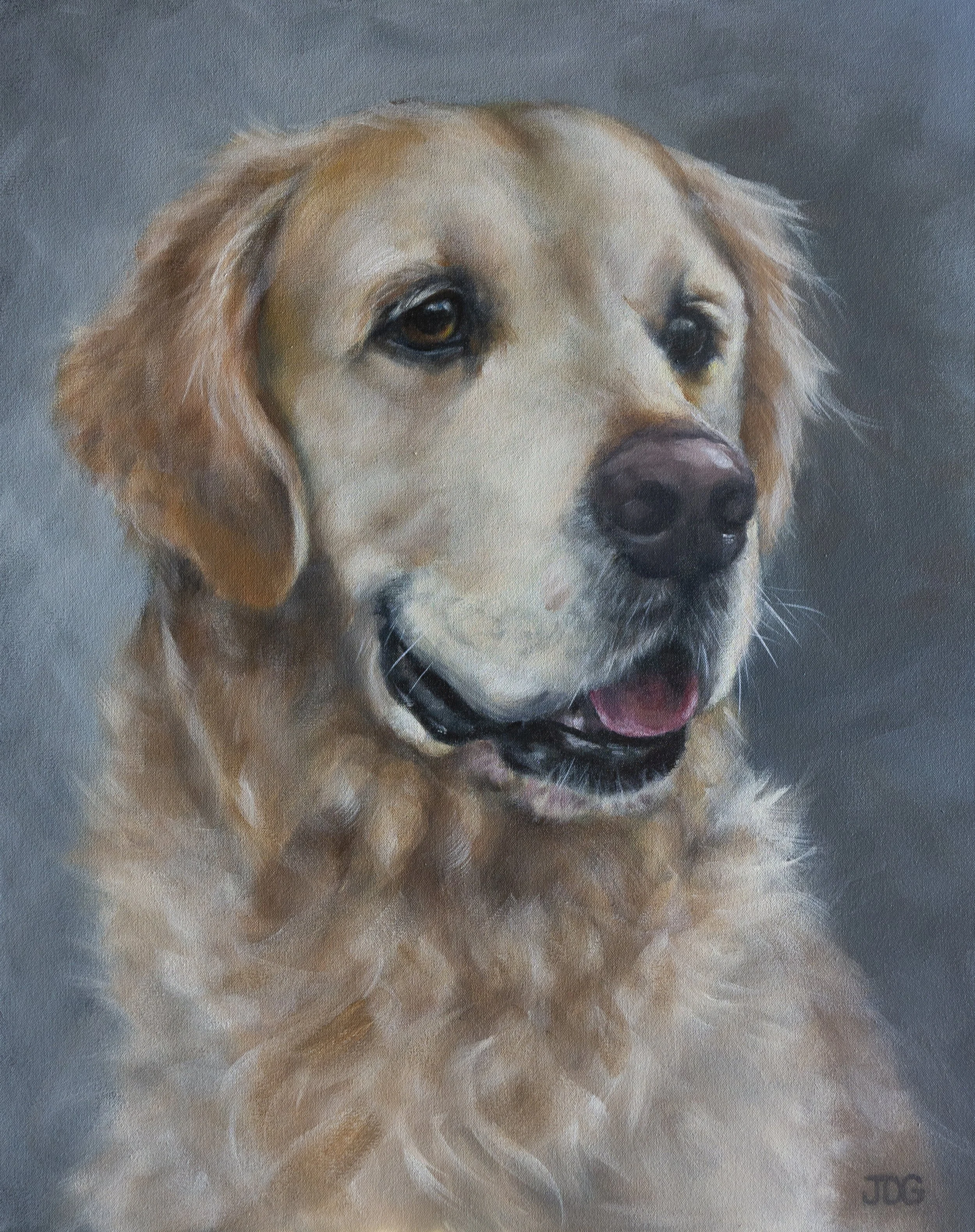 Golden Retriever Argos