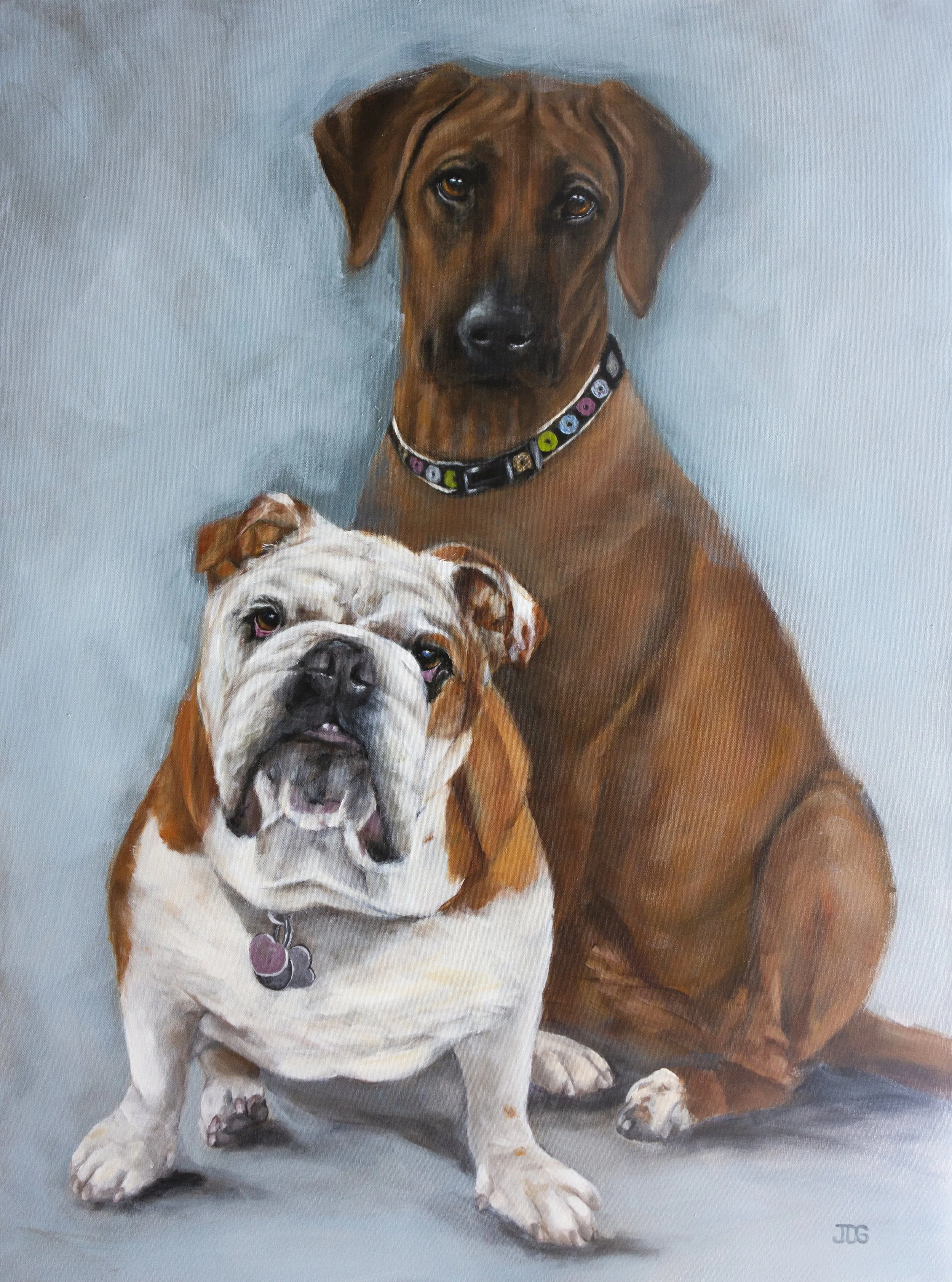 English Bulldog Chunk and Rhodesian Ridgeback Nala