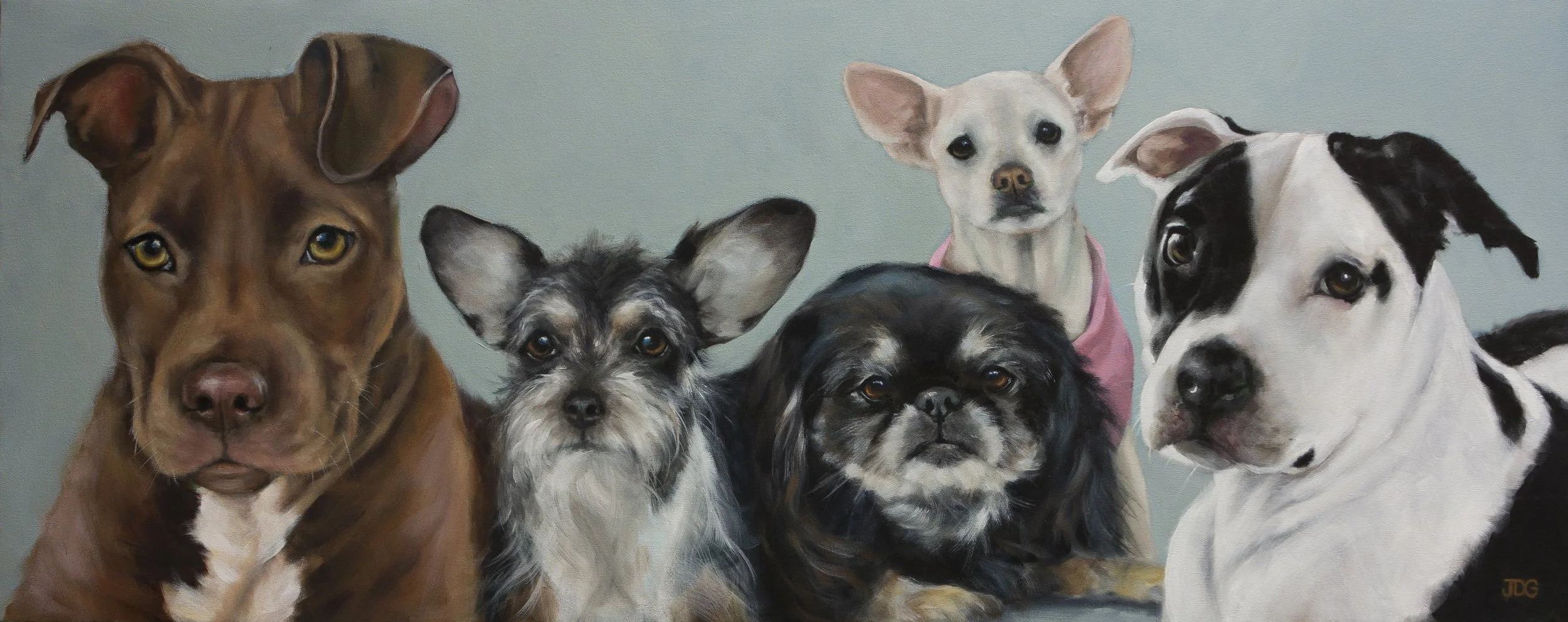 Tessa, Leia, Jazmyn, Bella, and Sayde