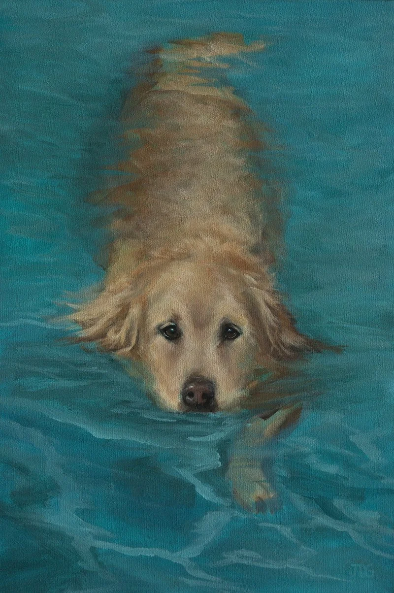 Rosie the Golden Retriever