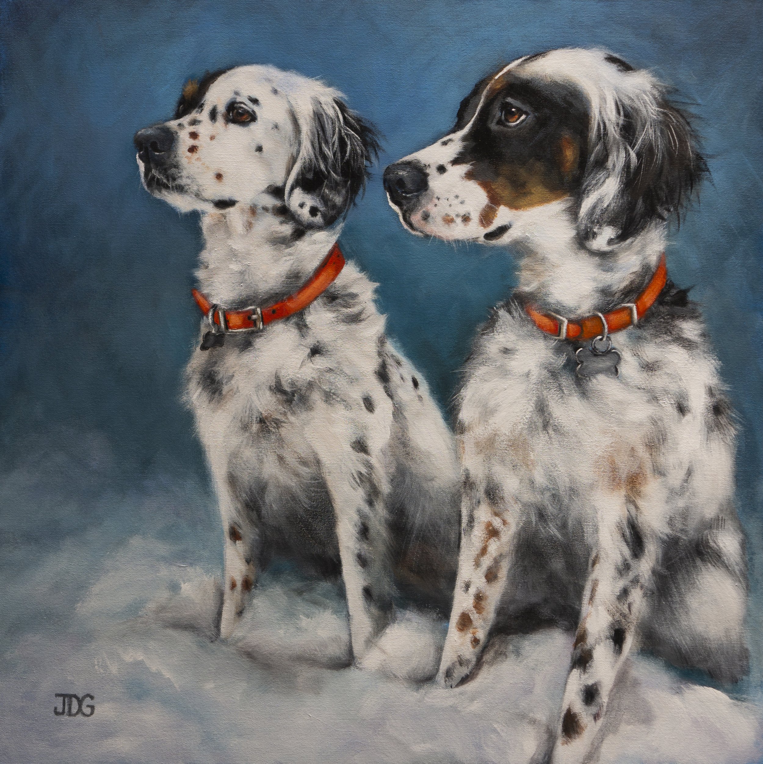 Nella Bean and Outchie, English Setters