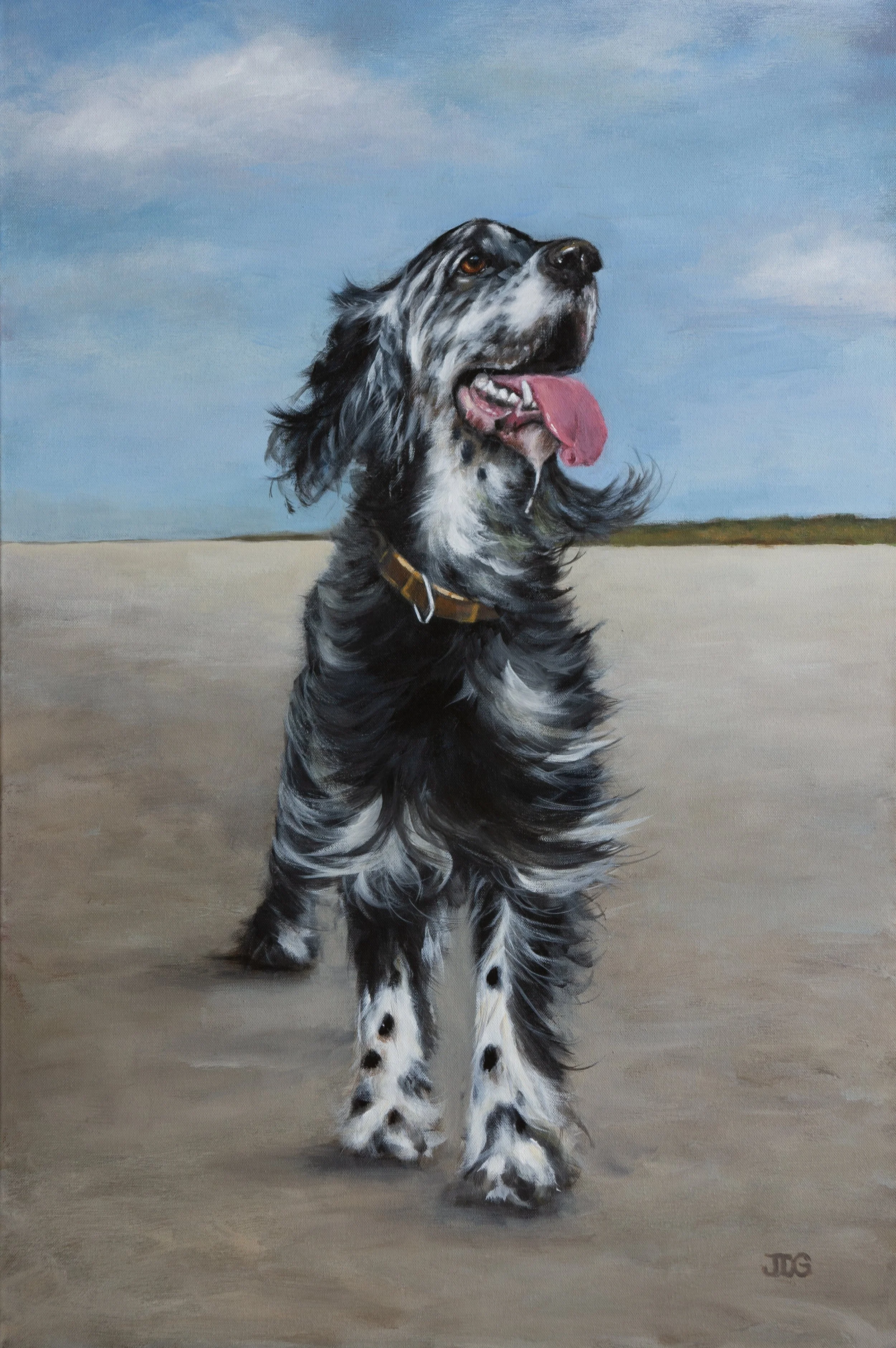 English Setter Freddie