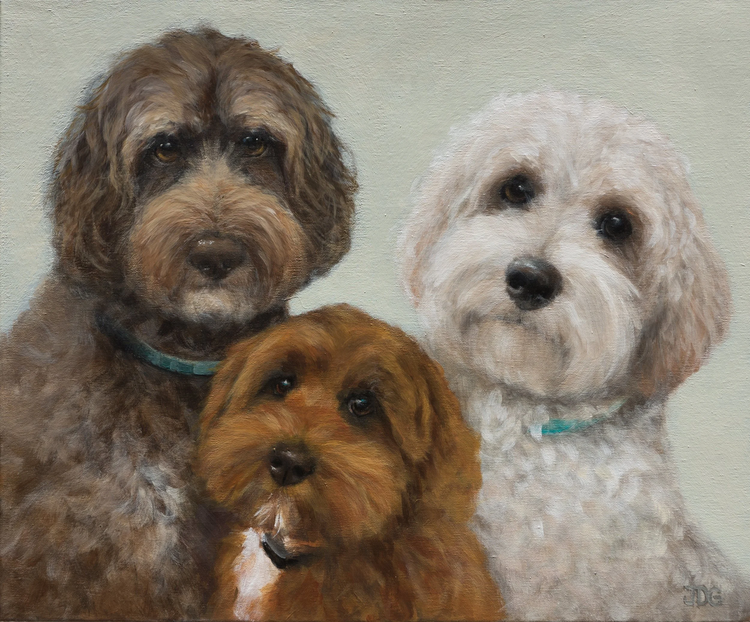 Finn, Ryder, and Daisy, all Aussie Doodles