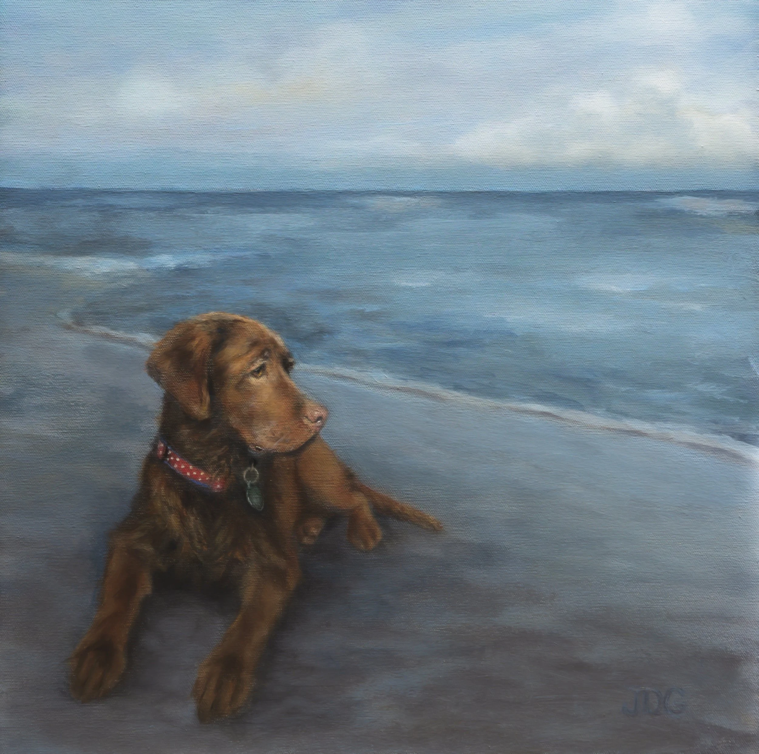 Chocolate Labrador Retriever Lucy