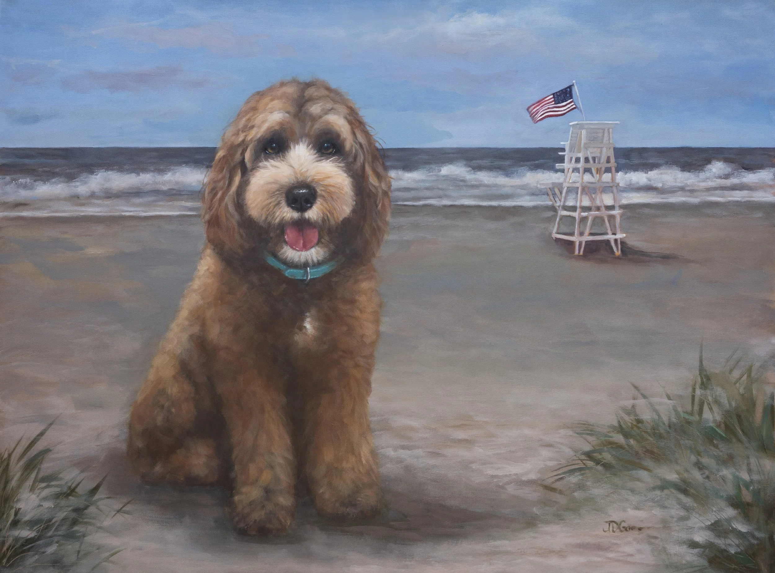 Aussie Labradoodle Bentley