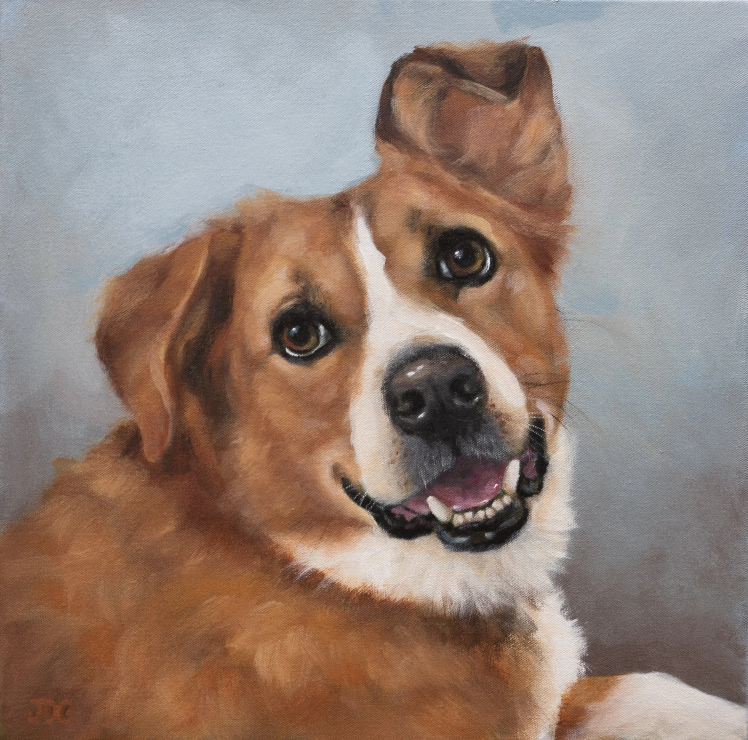 Maddy the Terrier Mix