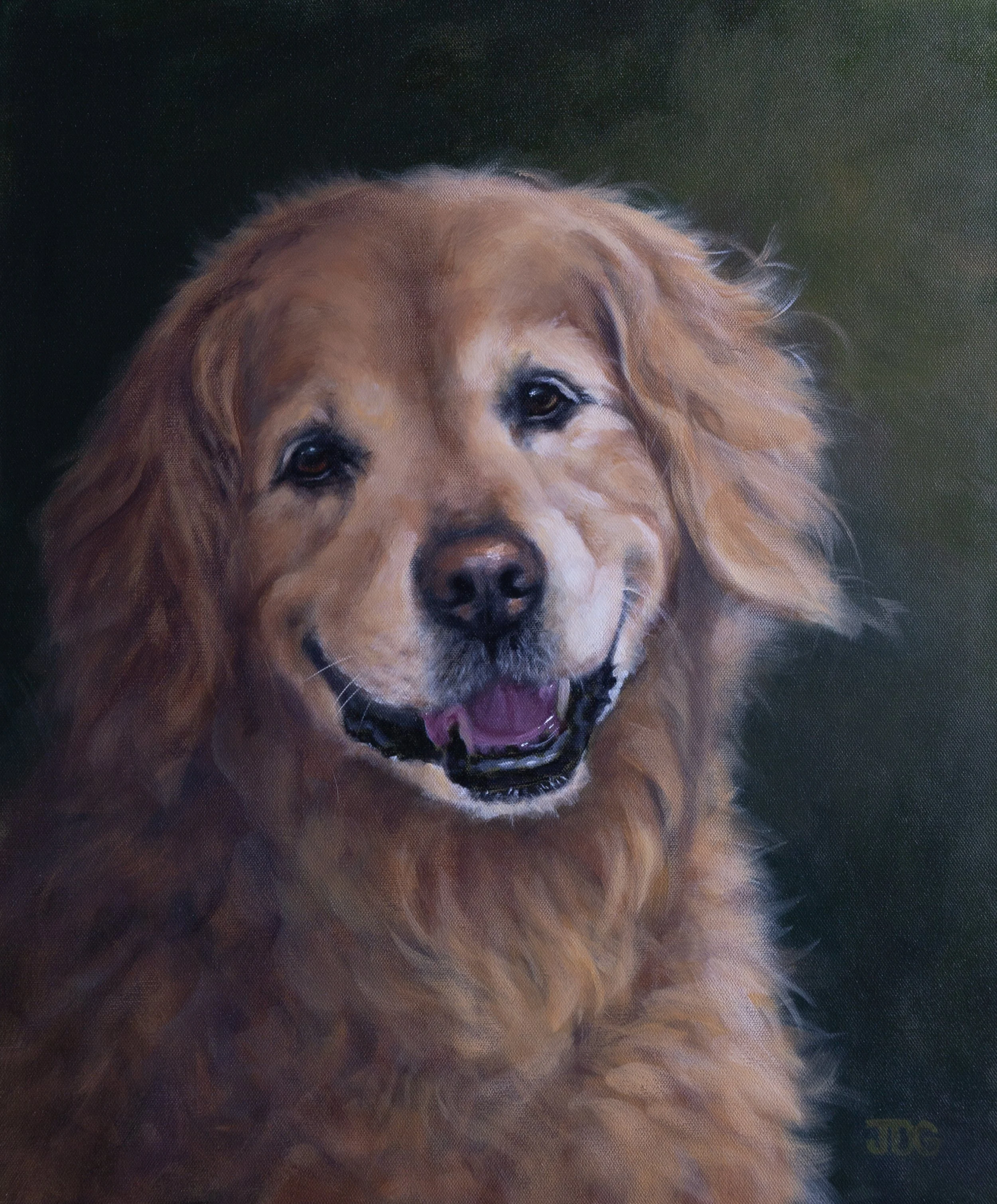 Ketel the Golden Retriever