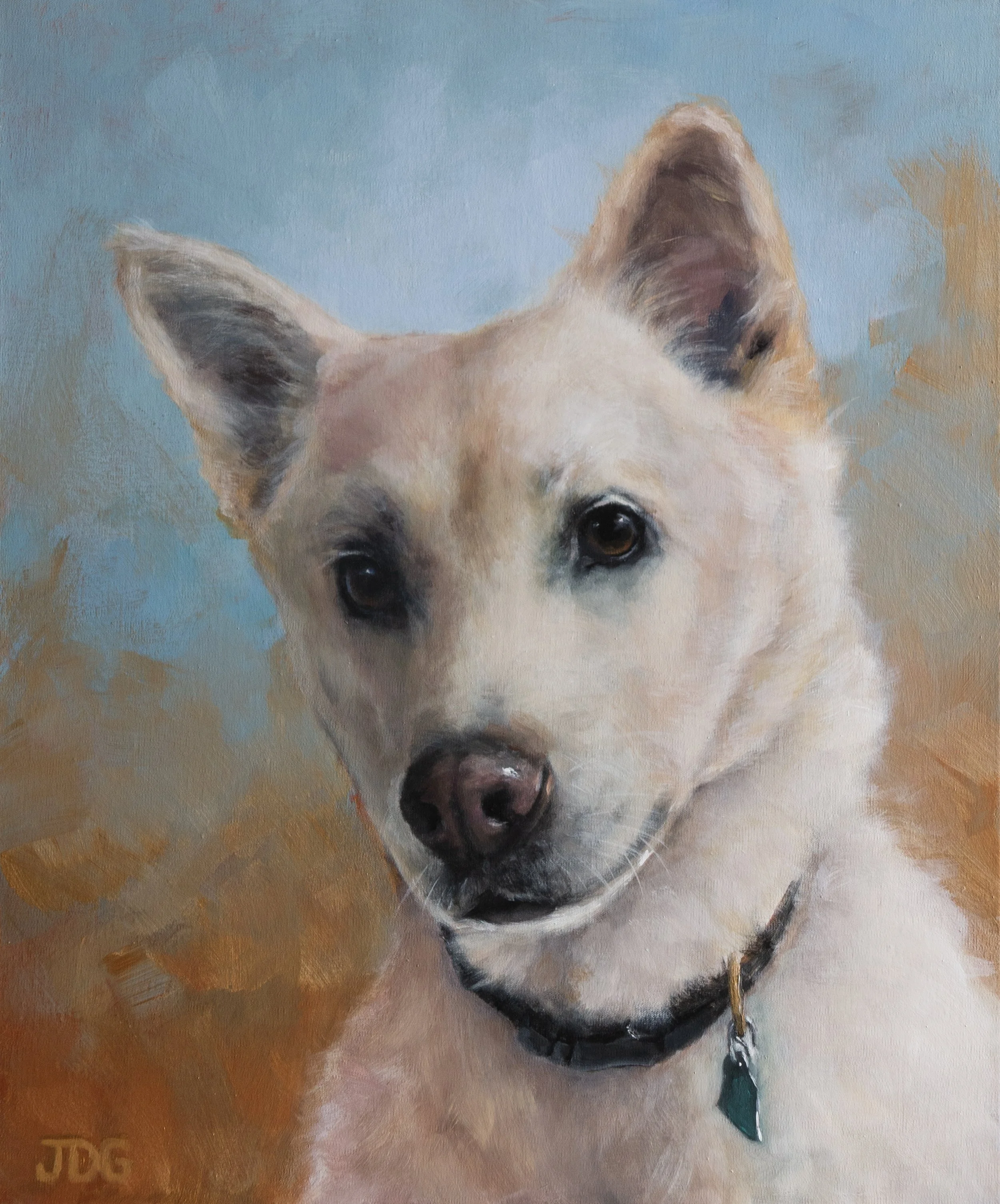 Suki the Jindo