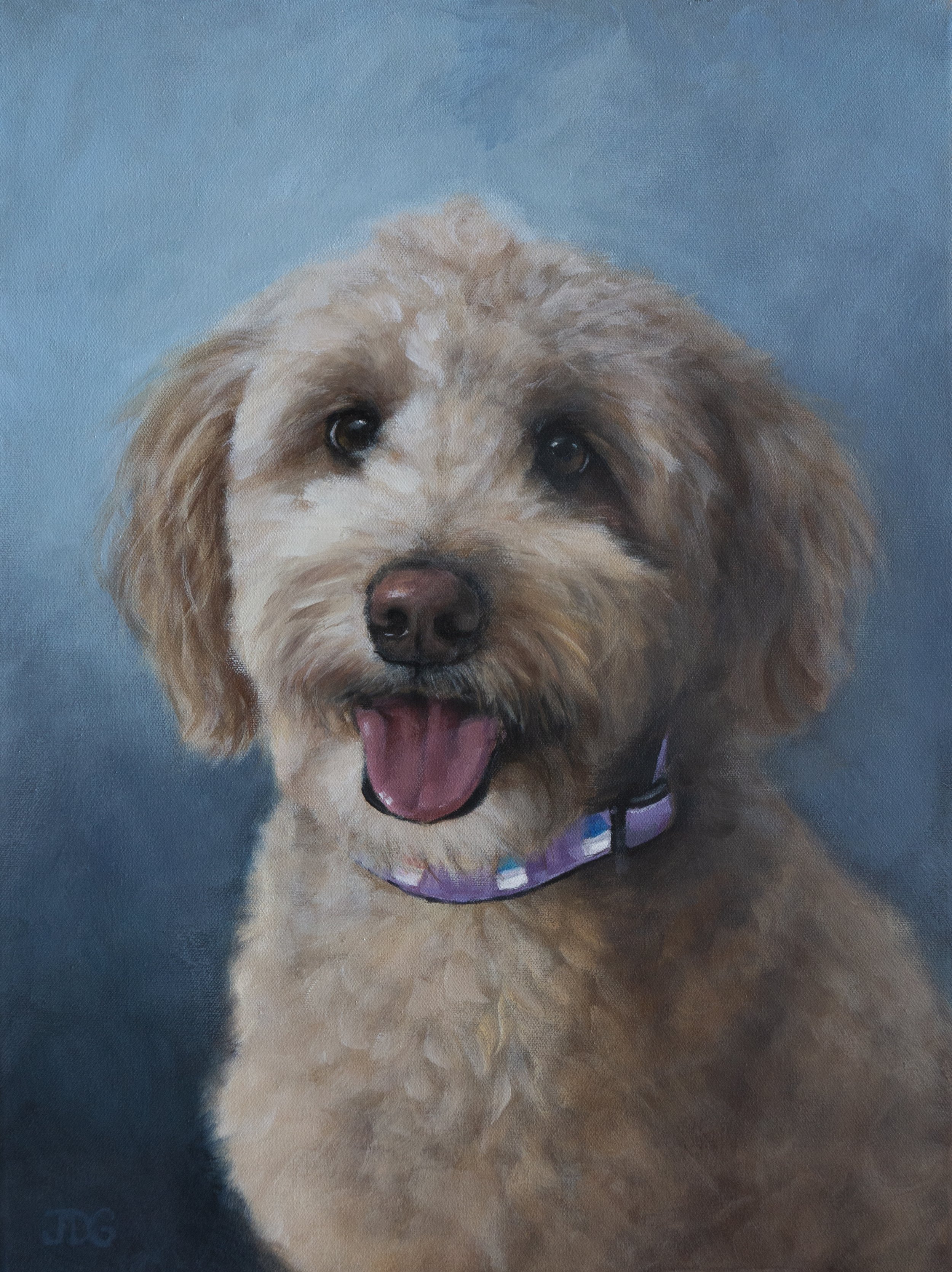 Golden Doodle "Sunny"