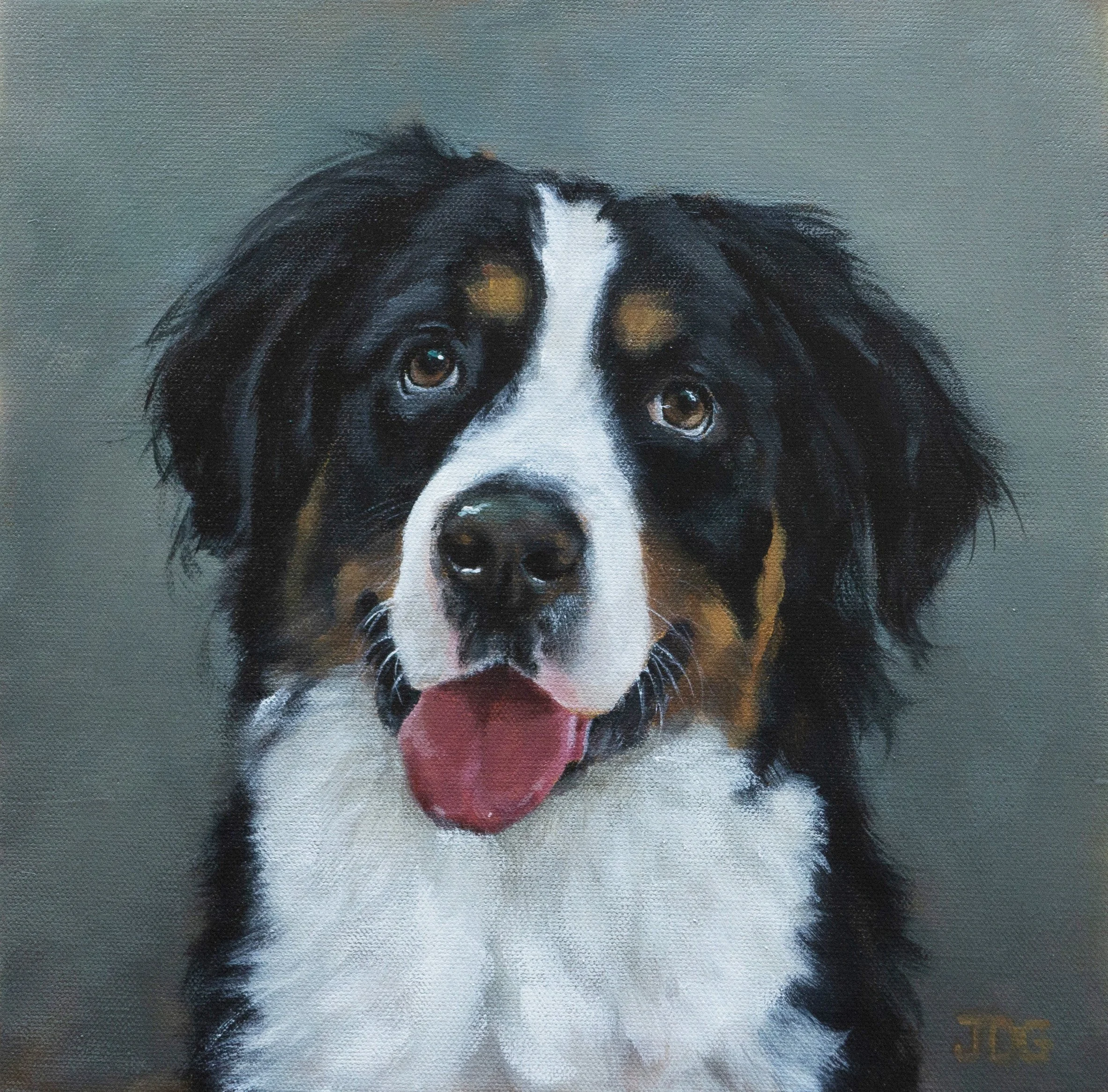 Close-up painted portrait of a Bernese Mountain Dog highlighting soulful eyes and gentle expression