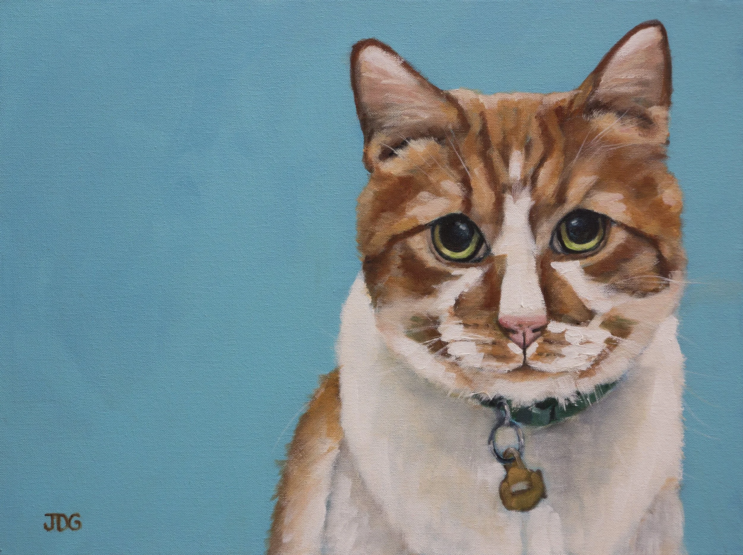 Custom Orange and White Tabby Cat Portrait