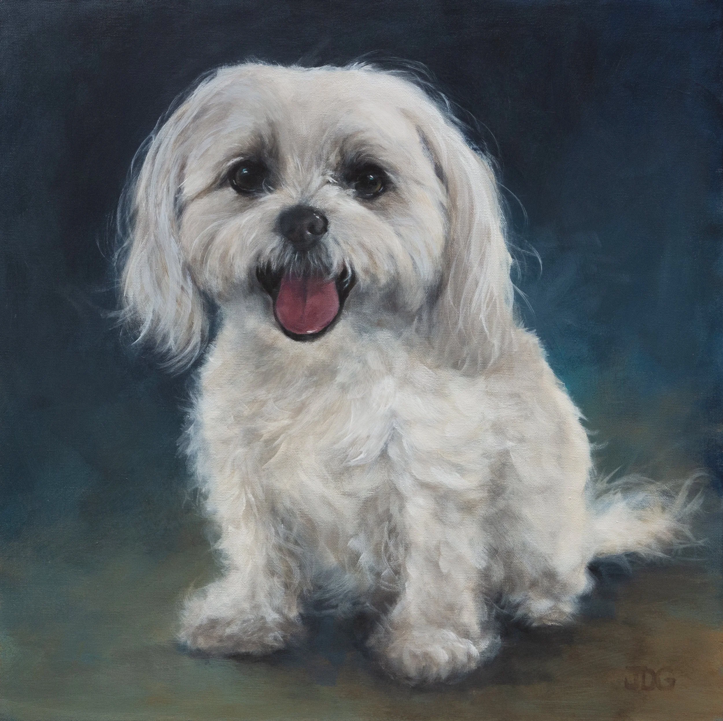 Jovi | Custom Hand-Painted Maltese Portrait