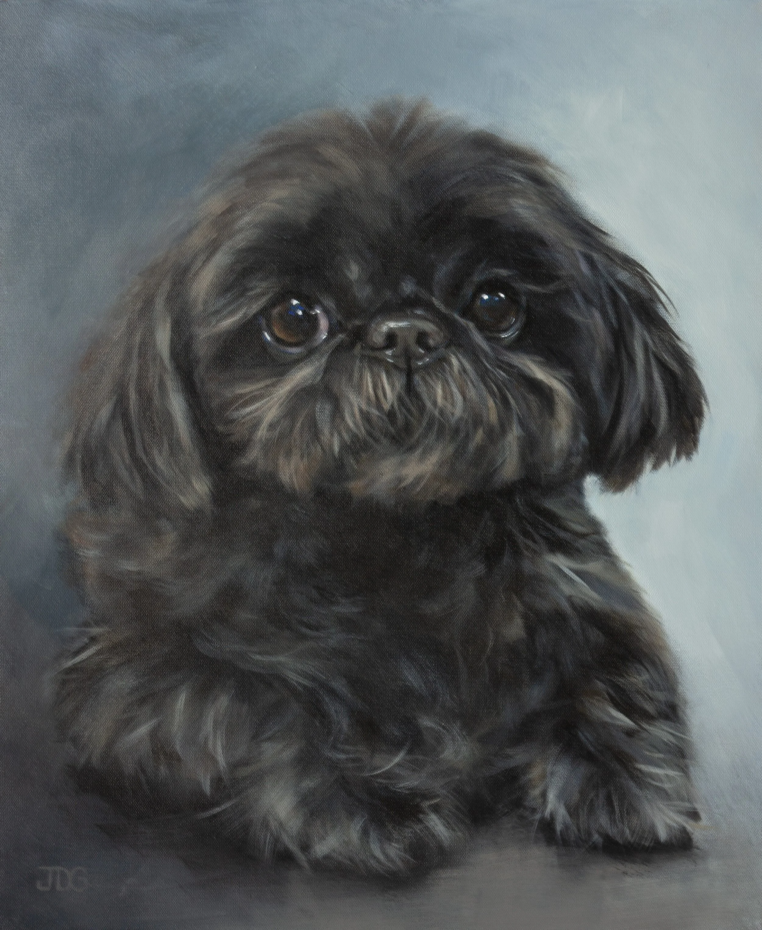 Shih Tzu Ellie — Custom Pet Portrait