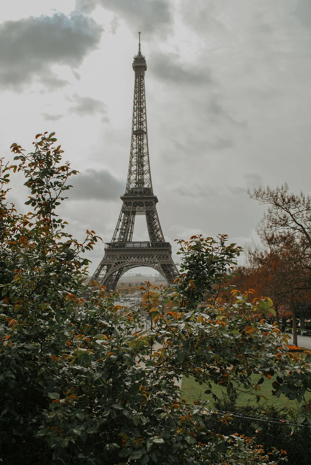 DSC_0641.jpg