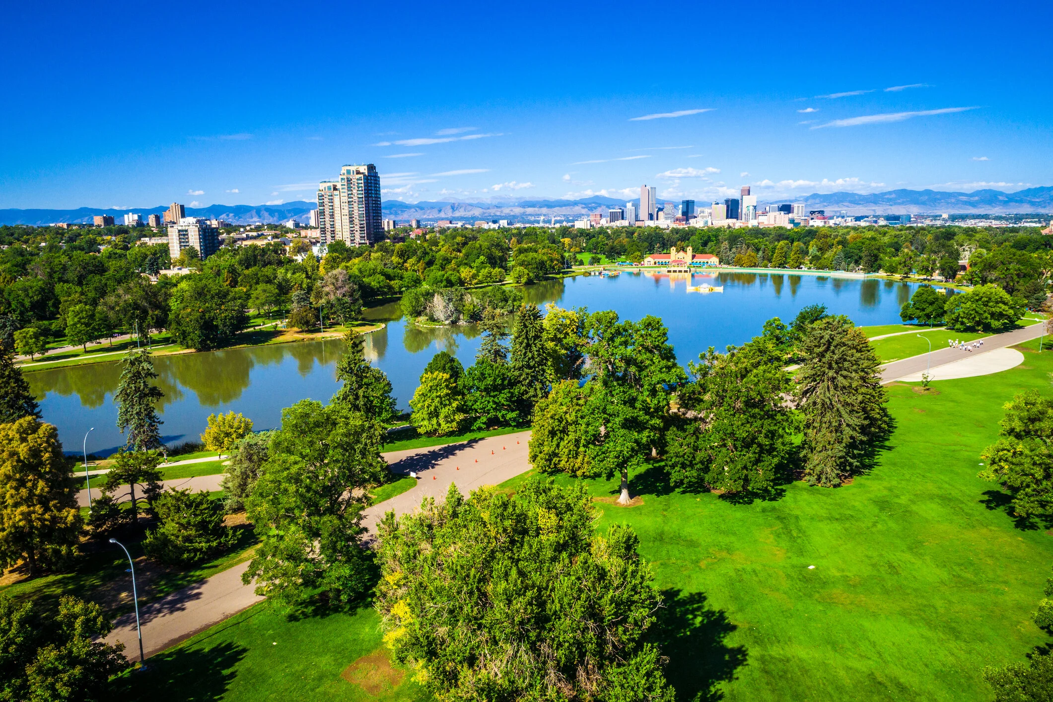 About — My Denver Tree Service