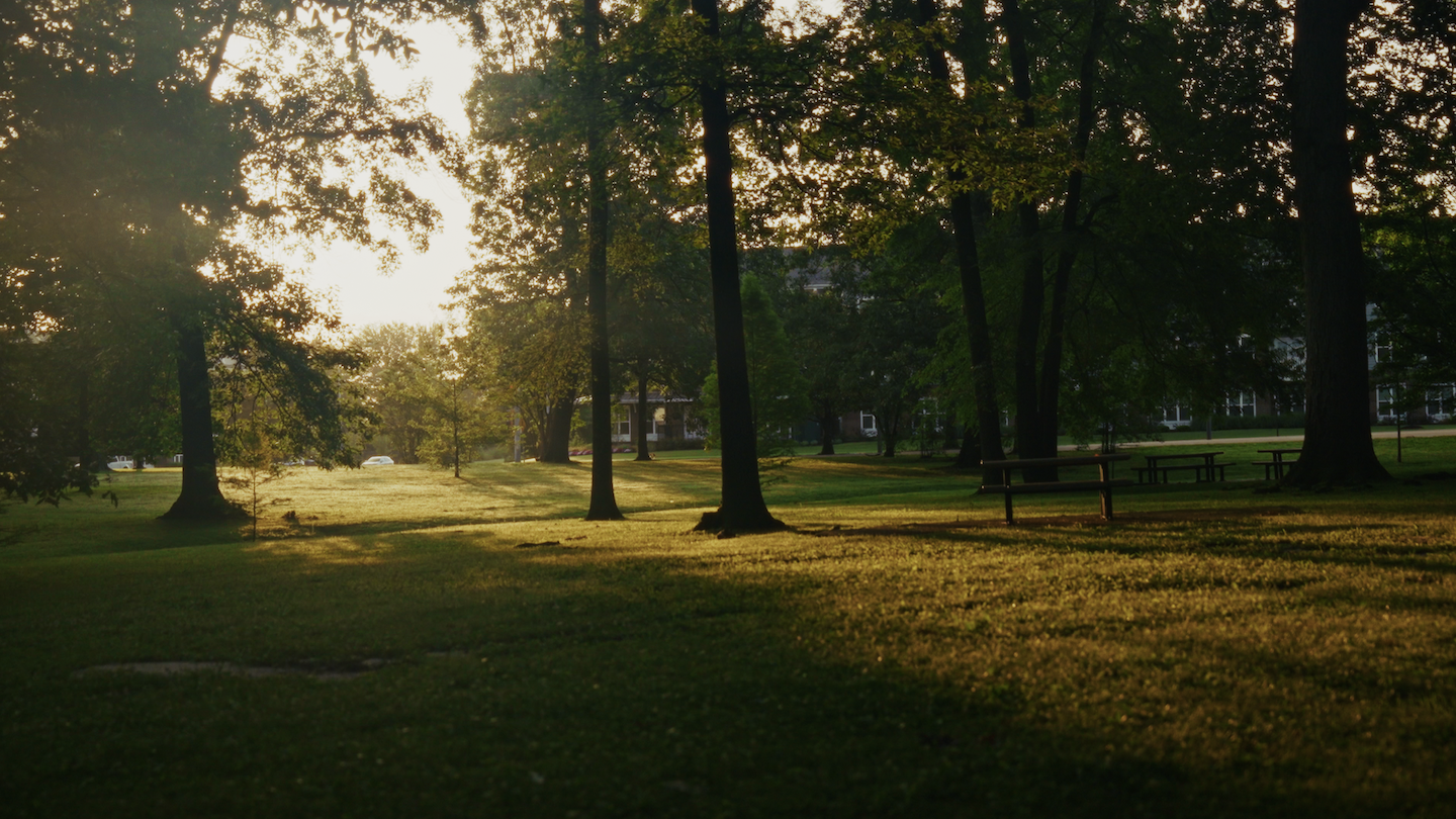 wide-park copy.png